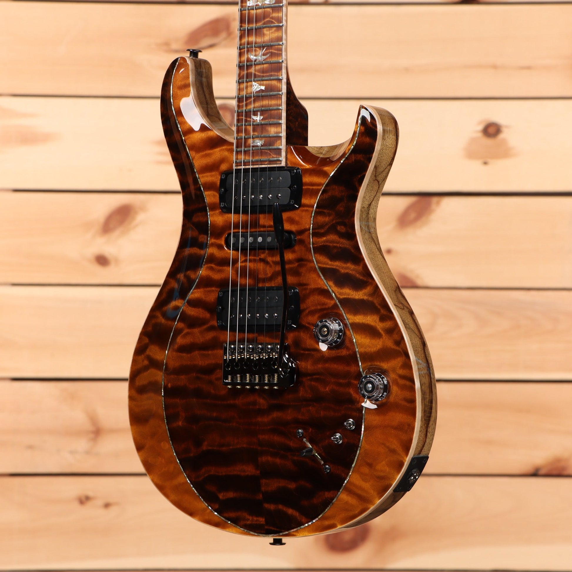 Paul Reed Smith Private Stock Modern Eagle V - Sandstorm Fade