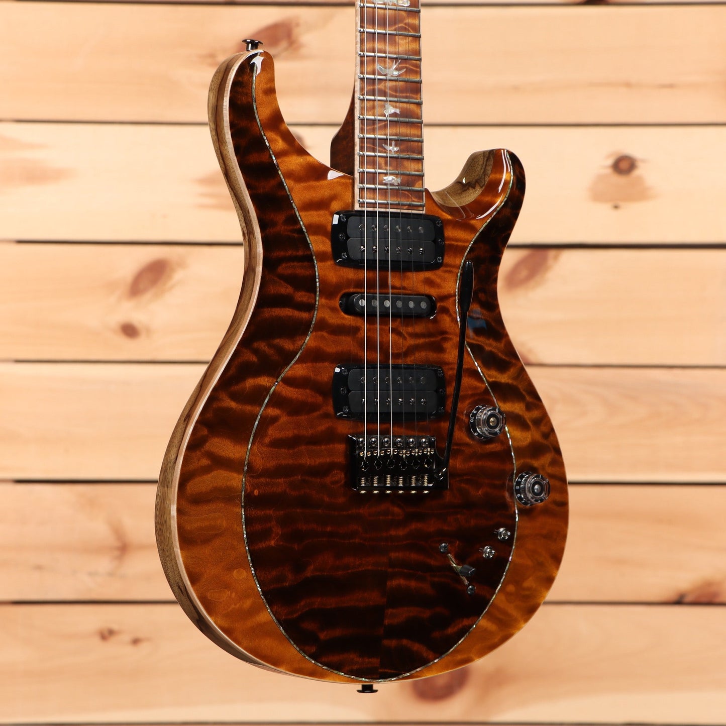 Paul Reed Smith Private Stock Modern Eagle V - Sandstorm Fade