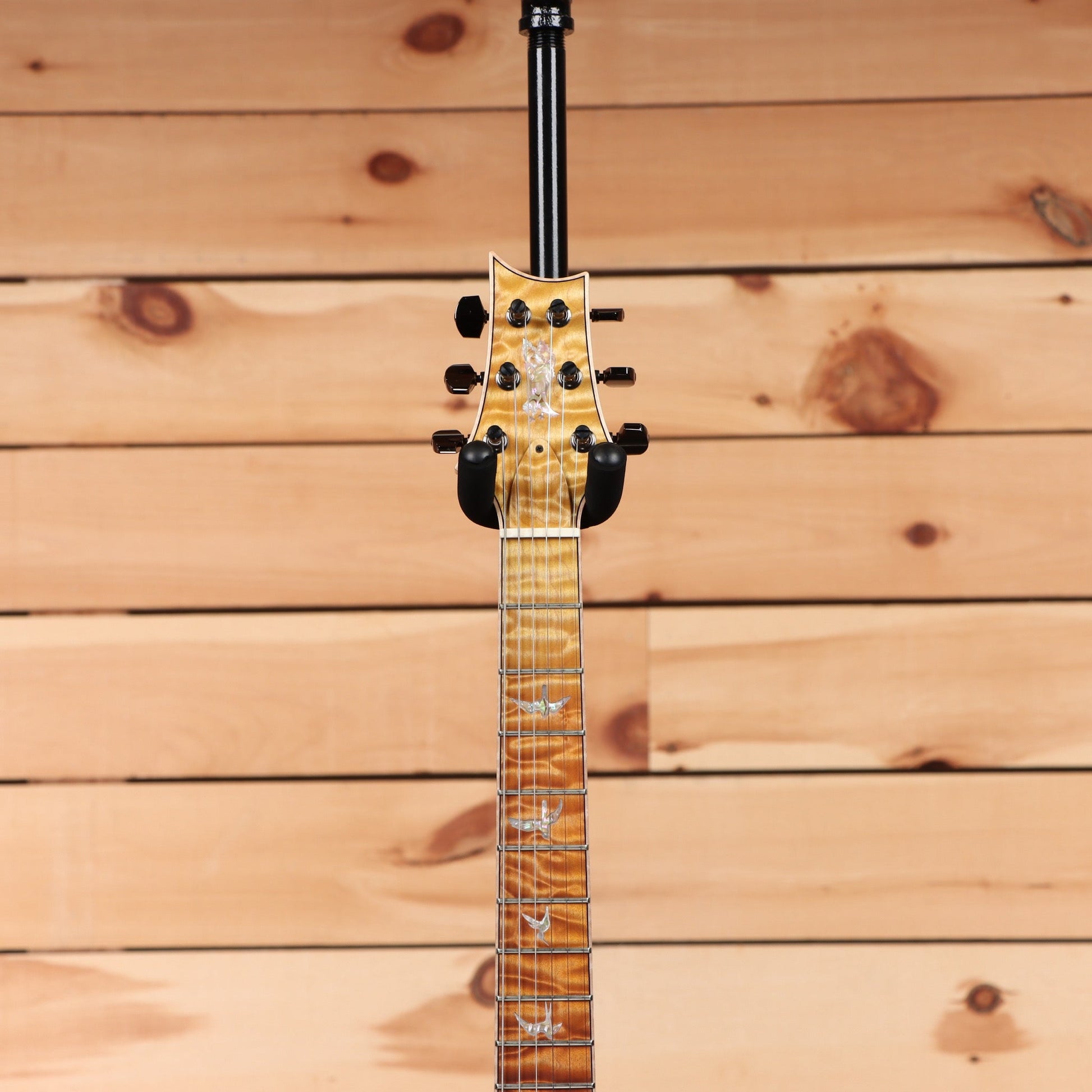 Paul Reed Smith Private Stock Modern Eagle V - Sandstorm Fade