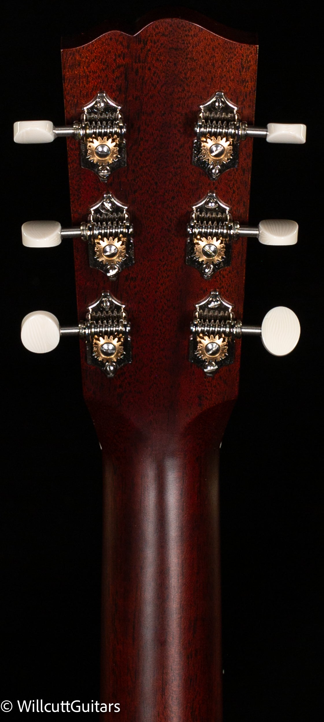 Santa Cruz Vintage Southerner (849)