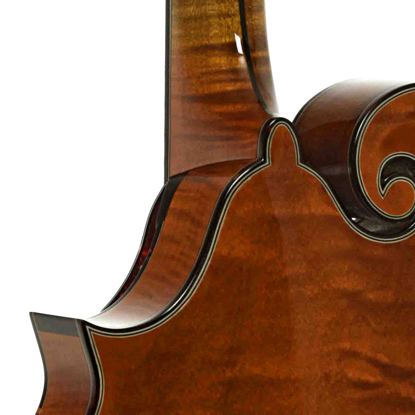 Northfield Artist Series Limited Edition F-Style Mandolin & Case, Italian Spruce