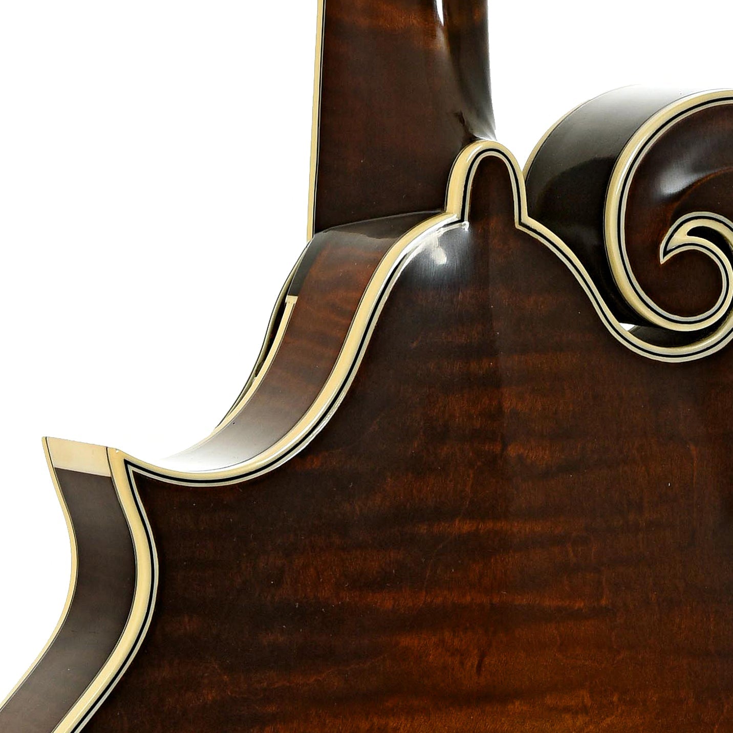 Northfield NFB-F5AWNltd Limited Edition Big Mon F-Style Mandolin & Case, Wide Nut