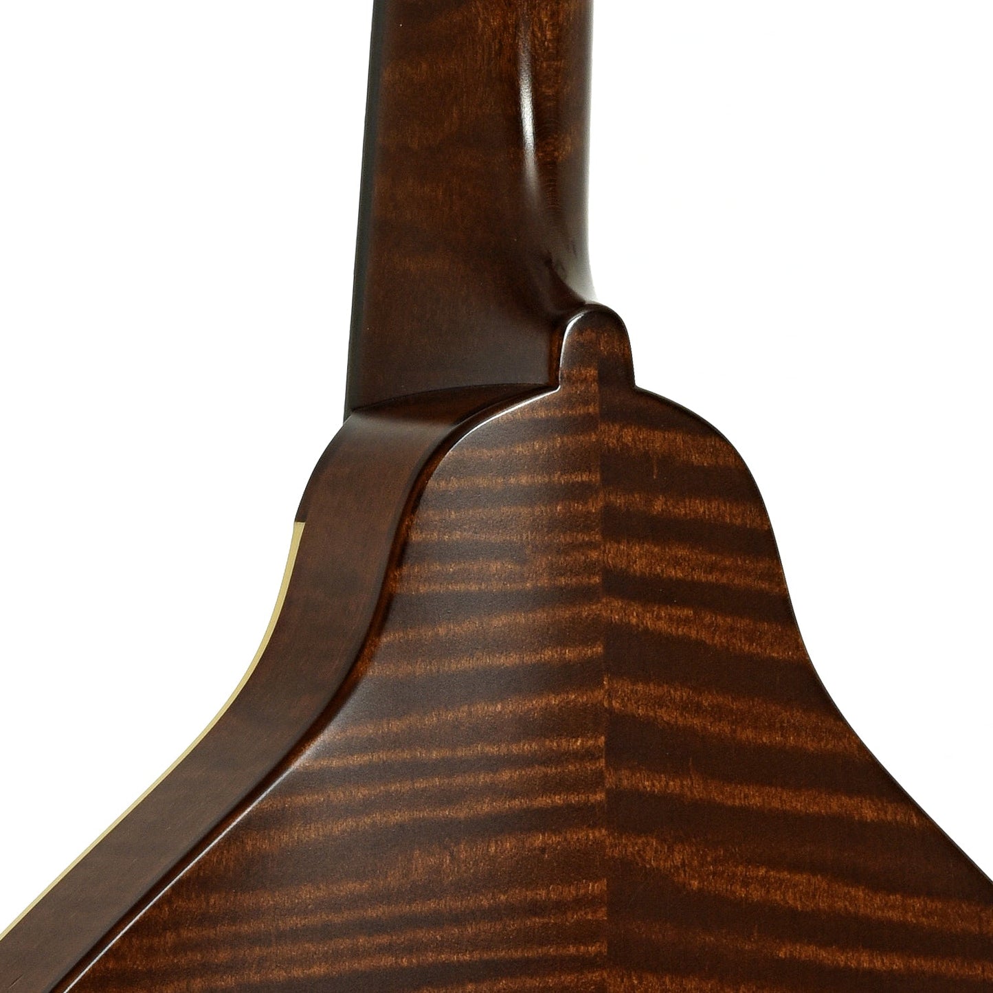 Pava A5 Satin Oval Hole Mandolin (2022)