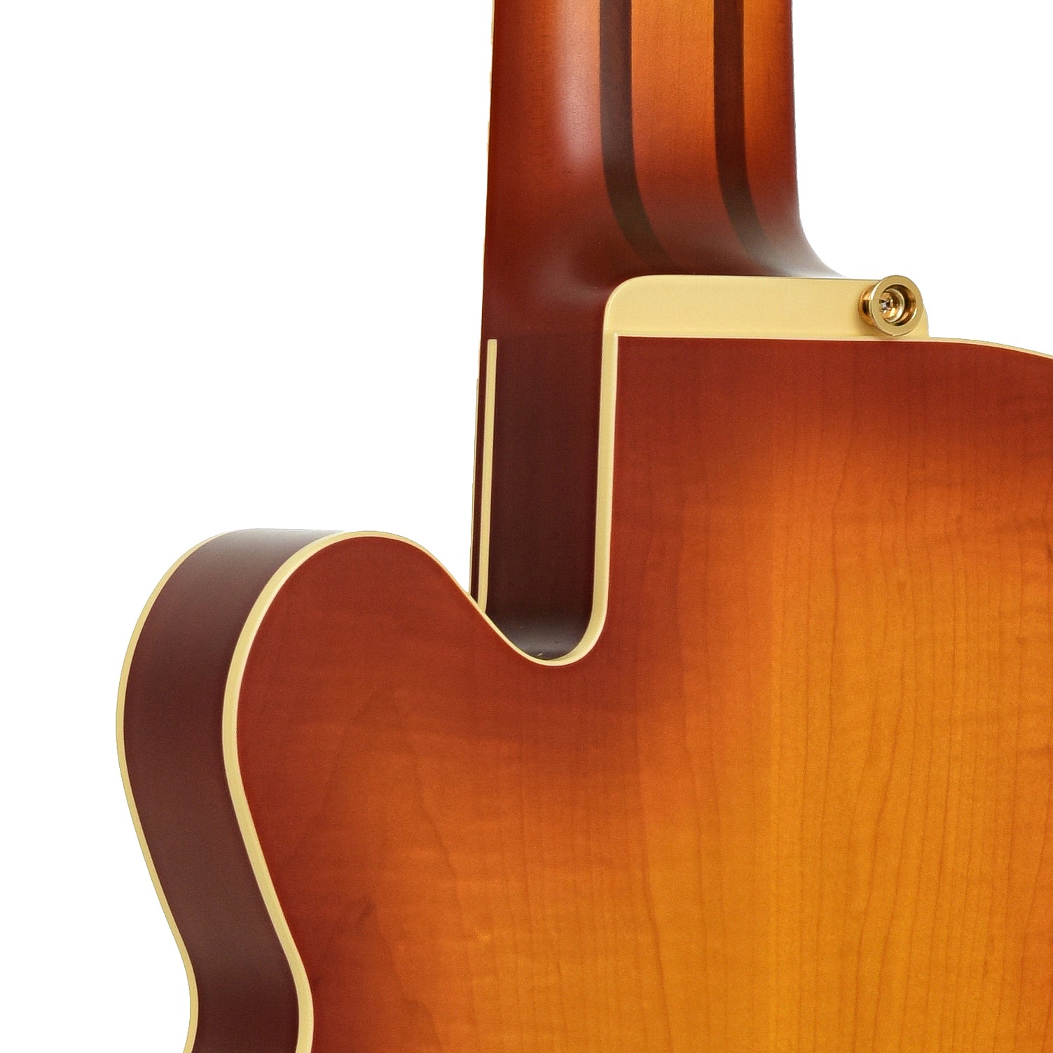 Ibanez TCB1006 Stephen "Thundercat" Bruner 6-String Hollowbody Electric Bass (2022)