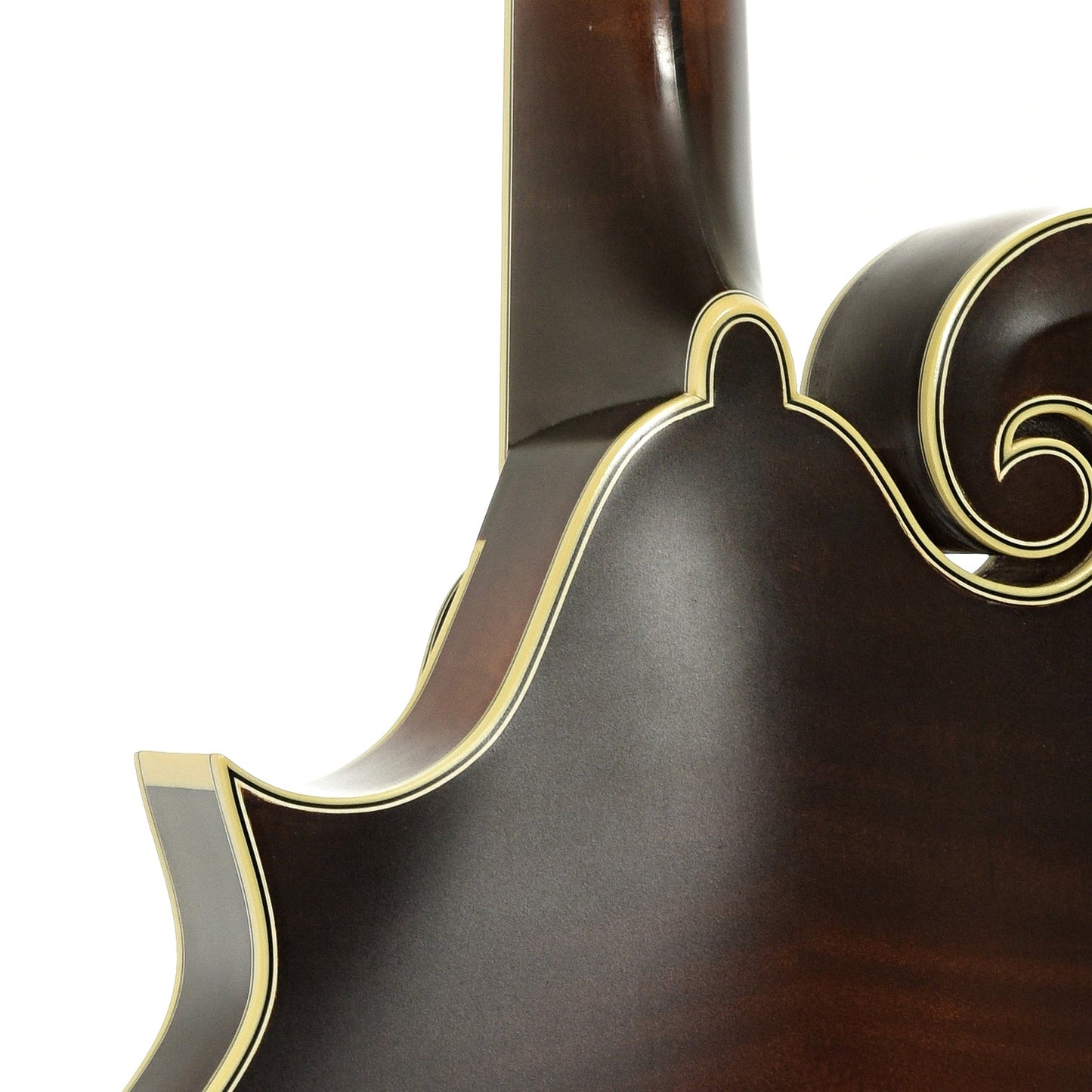 Nugget Deluxe F Mandolin (2003)
