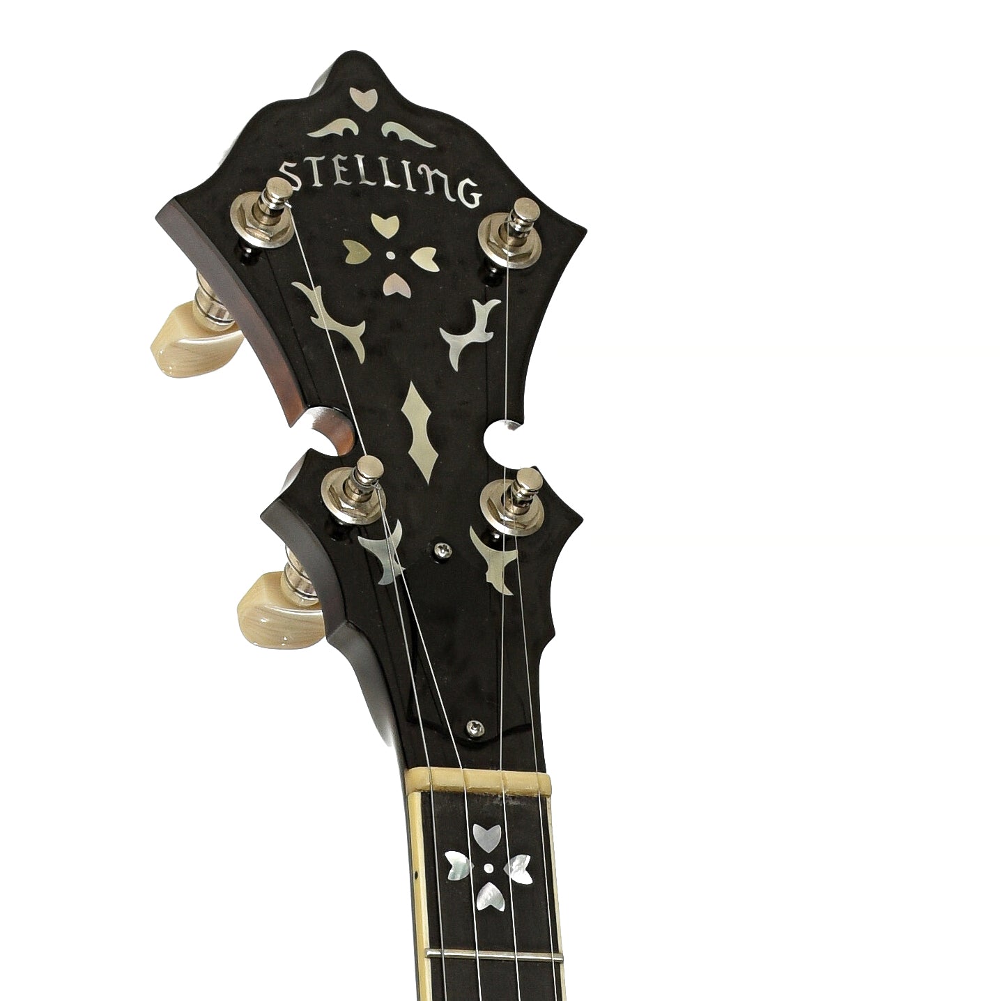 Stelling Sunflower Resonator Banjo (2012)