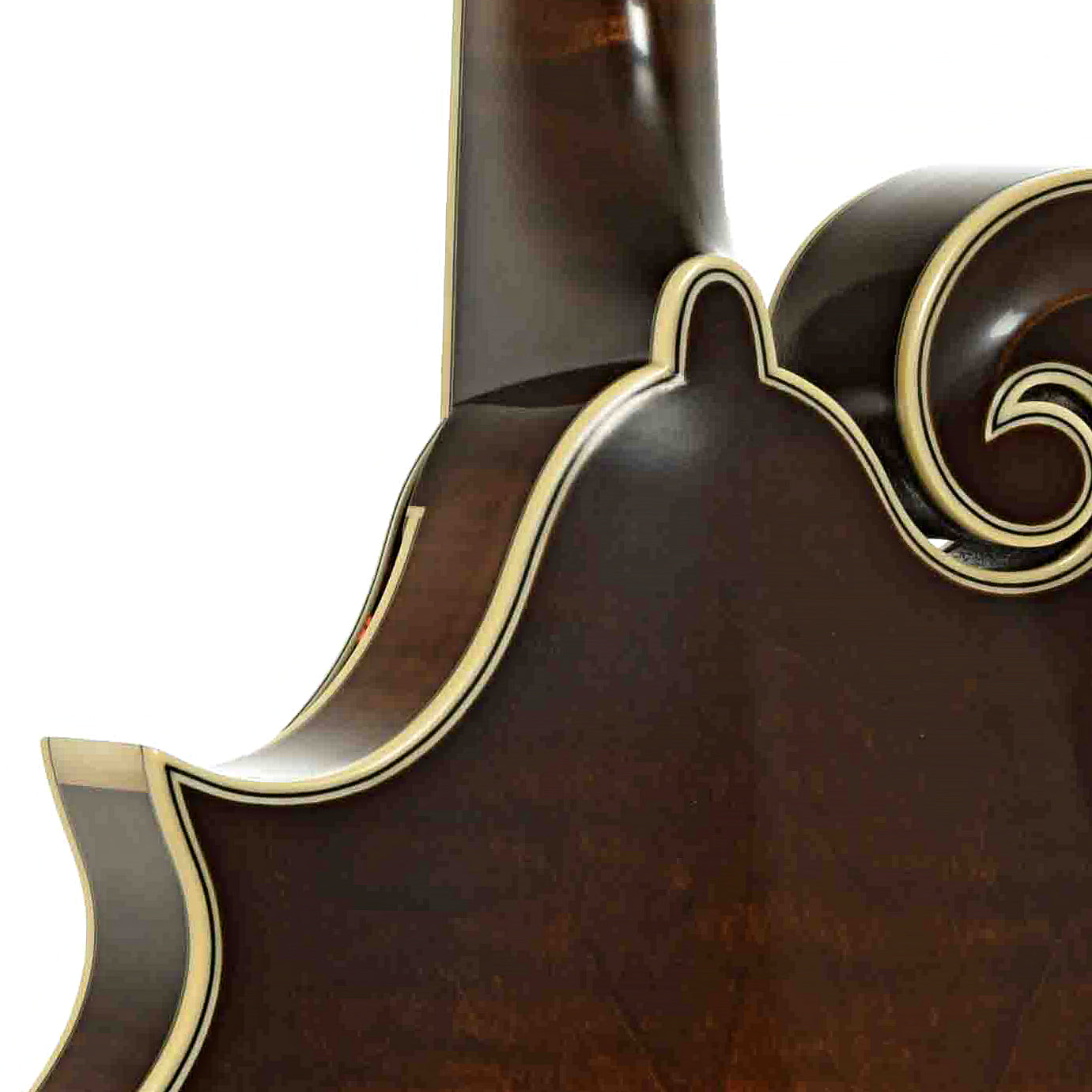 Northfield NFB-F5E Limited Edition Big Mon F-Style Mandolin & Case, Engelmann Top