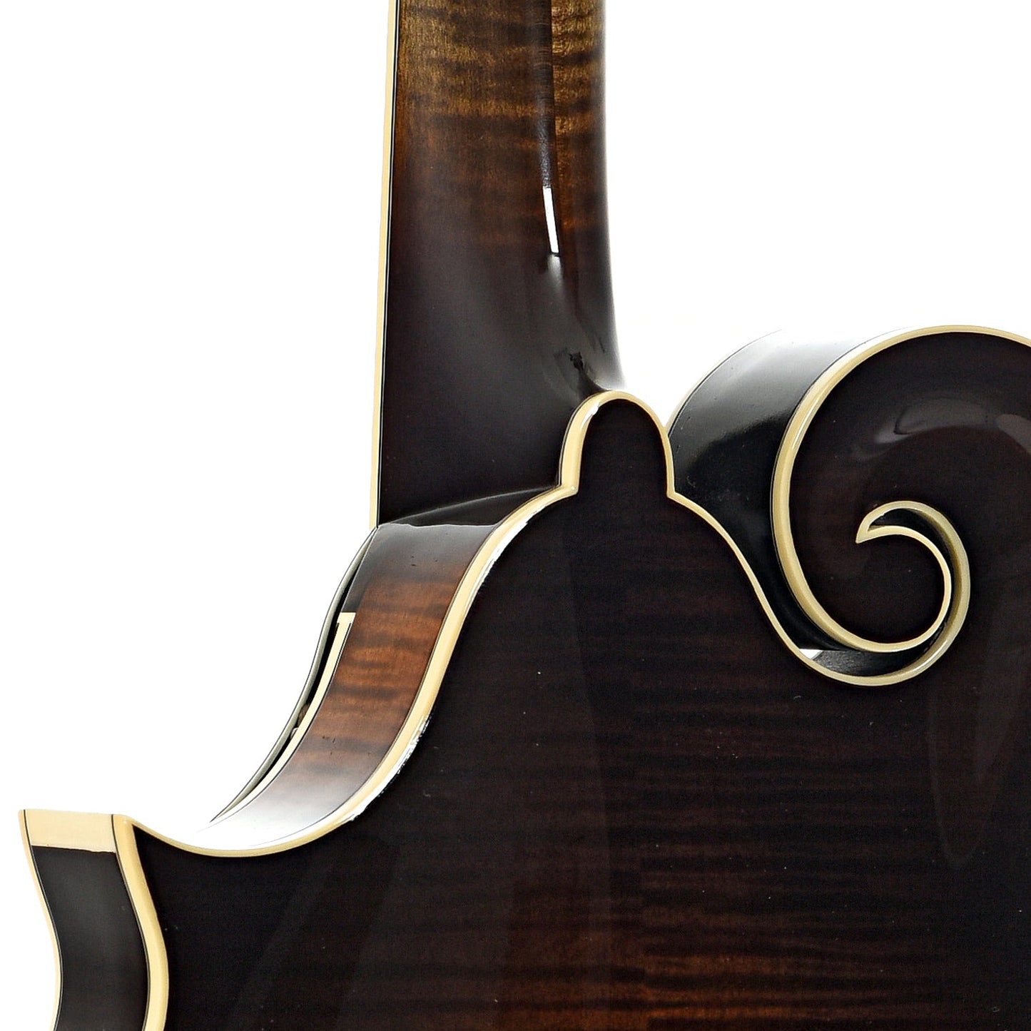 Northfield NFB-F5AWN Big Mon F-Style Mandolin & Case, Wide Nut