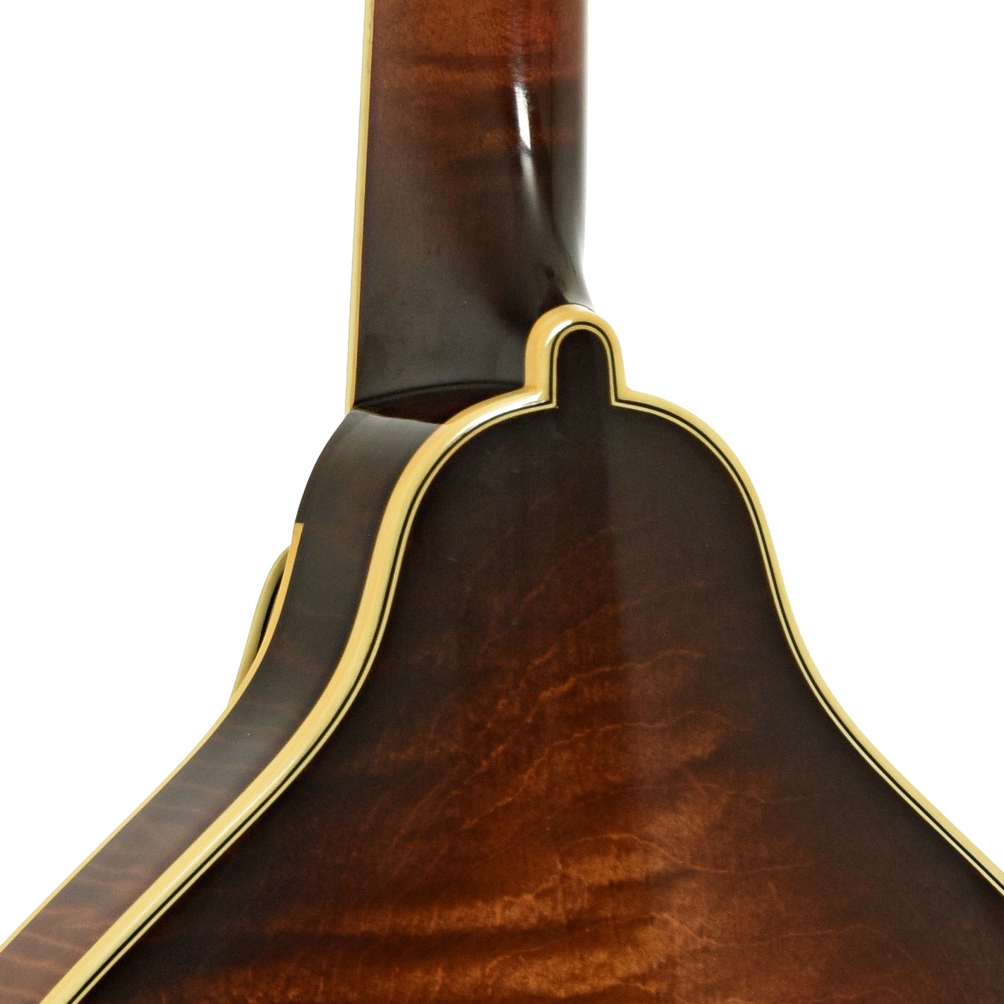 Ellis A-5 Special Mandolin (2014)