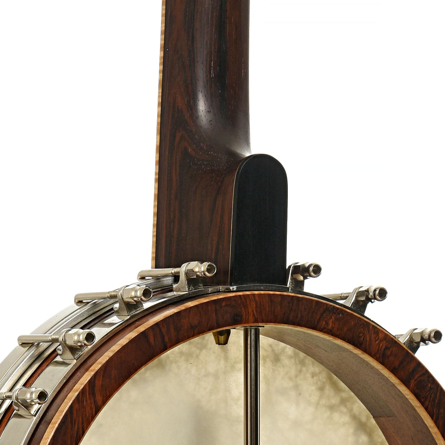 Wildwood Brazilian Custom Dragon Open Back Banjo (2004)