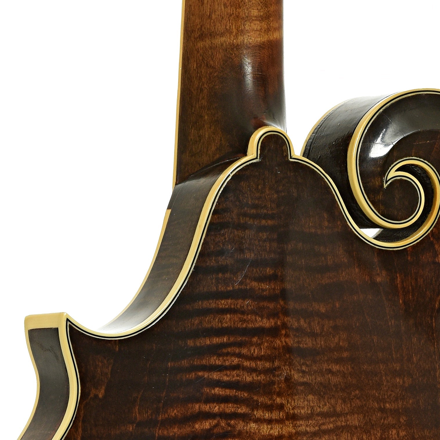Newson F-5 Fern Mandolin (1982)