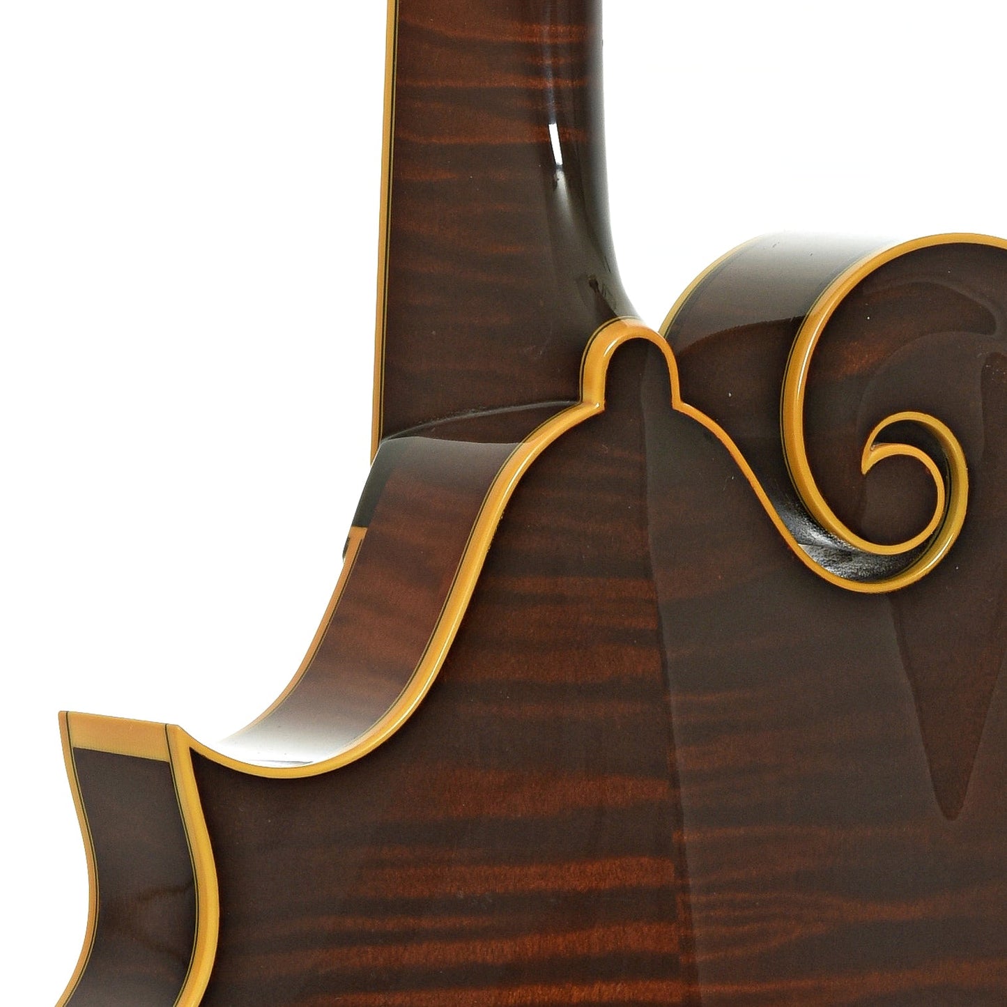 Collings MF-5 Varnish Mandolin (2017)