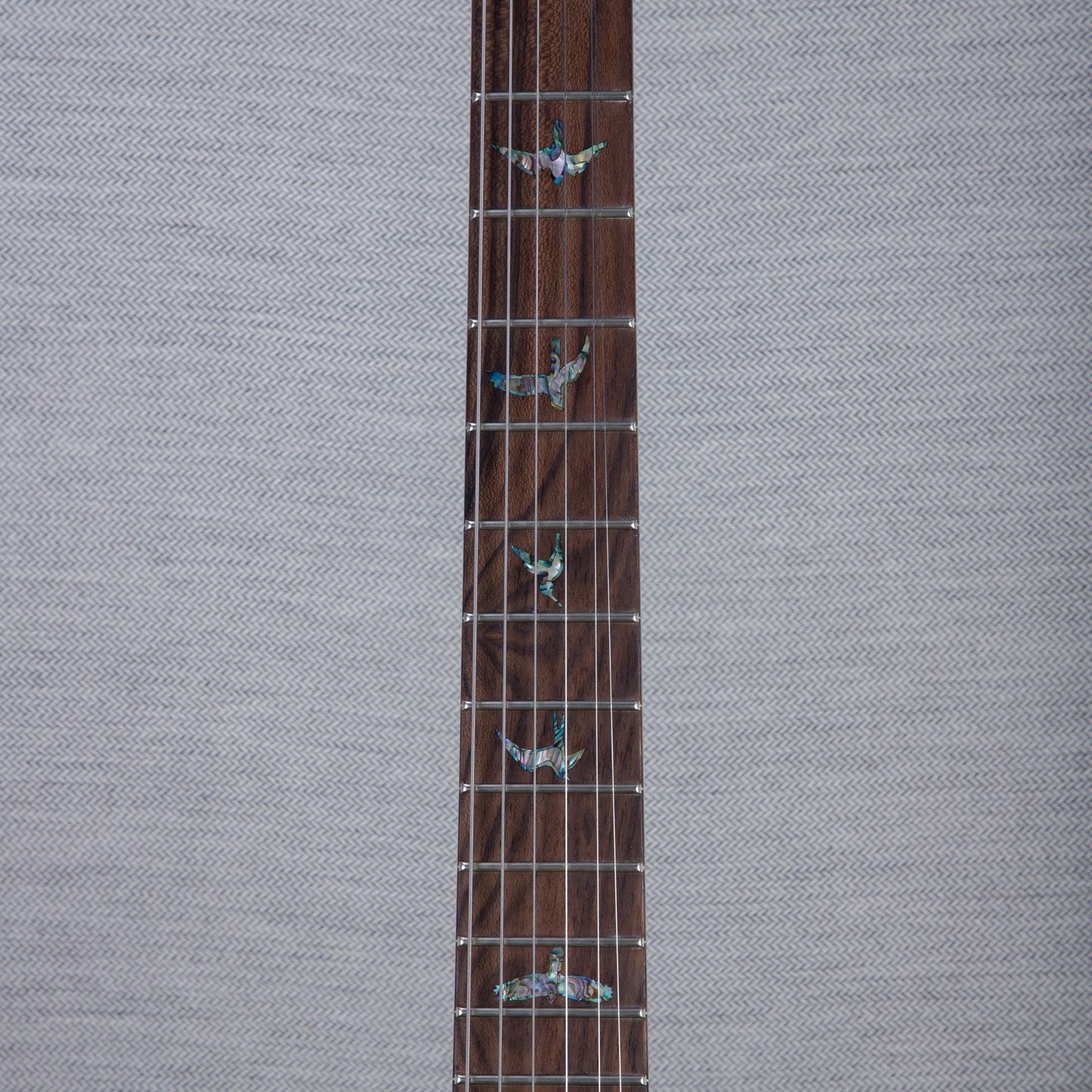 PRS Wood Library DGT Electric Guitar - Private Stock Bahamian Blue Finish - CHUCKSCLUSIVE - #240385598 - 2024