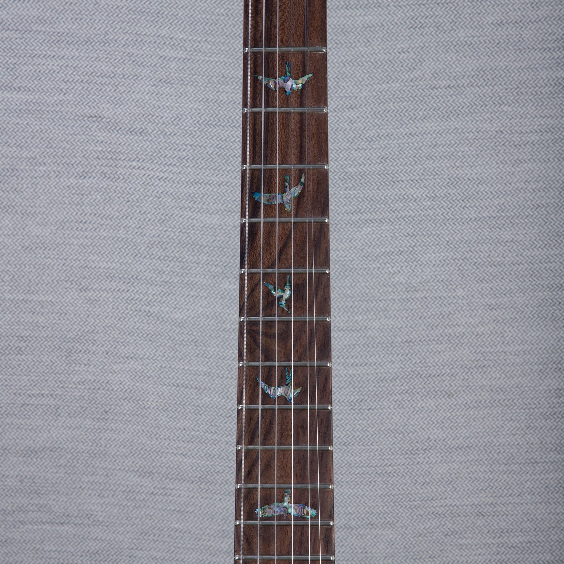 PRS Wood Library DGT Electric Guitar - Private Stock Bahamian Blue Finish - CHUCKSCLUSIVE - #240385598 - 2024