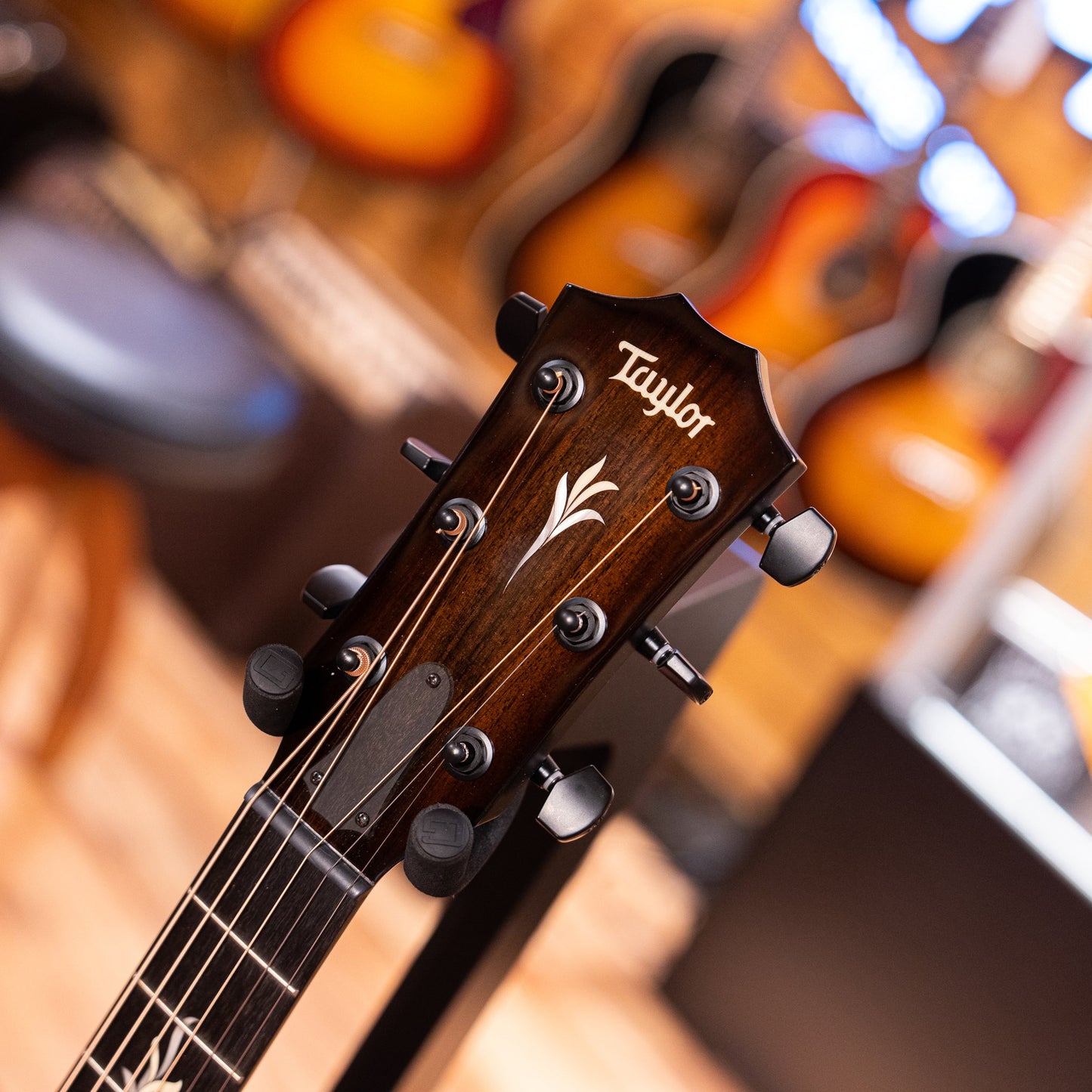 Taylor NAMM 2023 Custom #25 C22e B3025 Acoustic Electric Guitar with Circa '74 AV150-10 Combo Acoustic Guitar Amplifier
