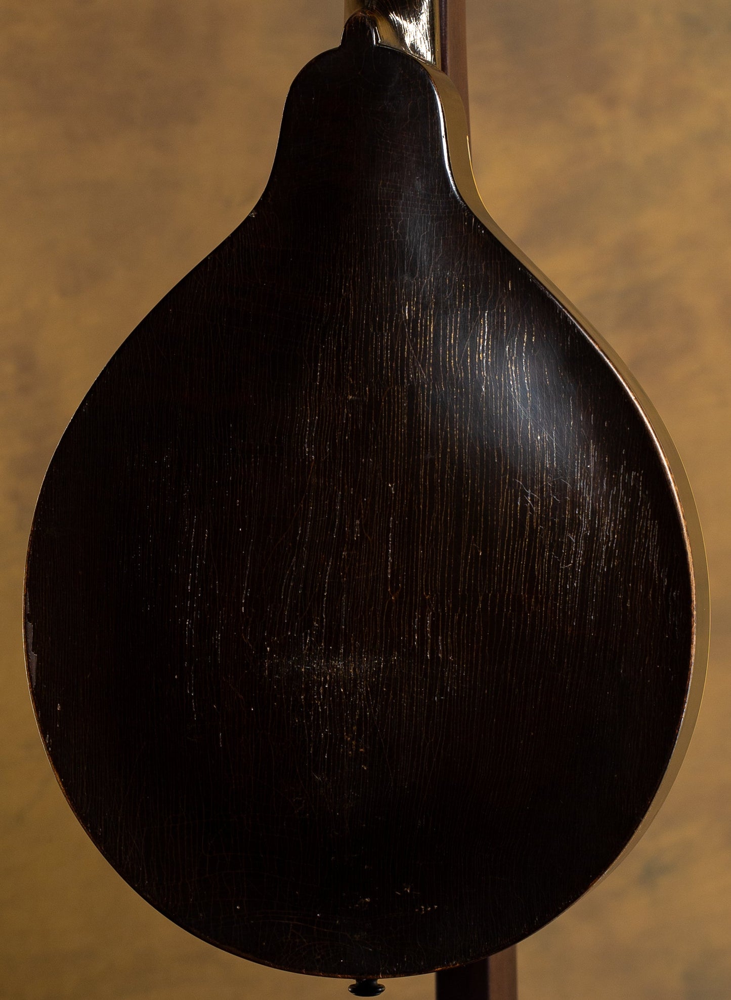 Gibson USED A Style, Snakehead Mando, Black cir 1925