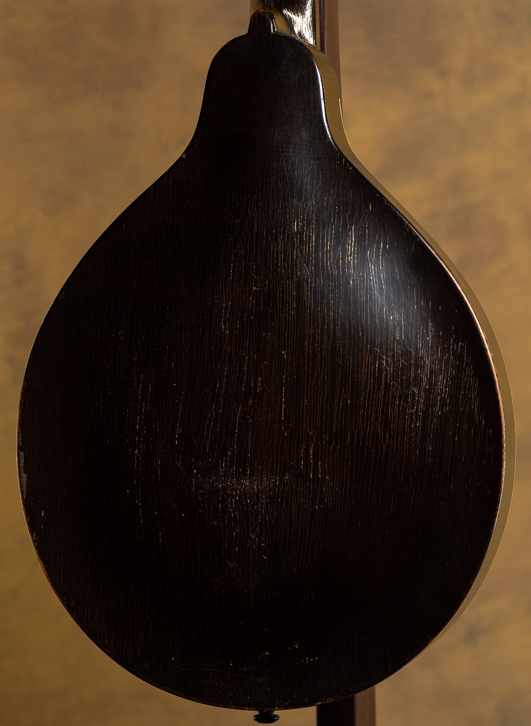 Gibson USED A Style, Snakehead Mando, Black cir 1925