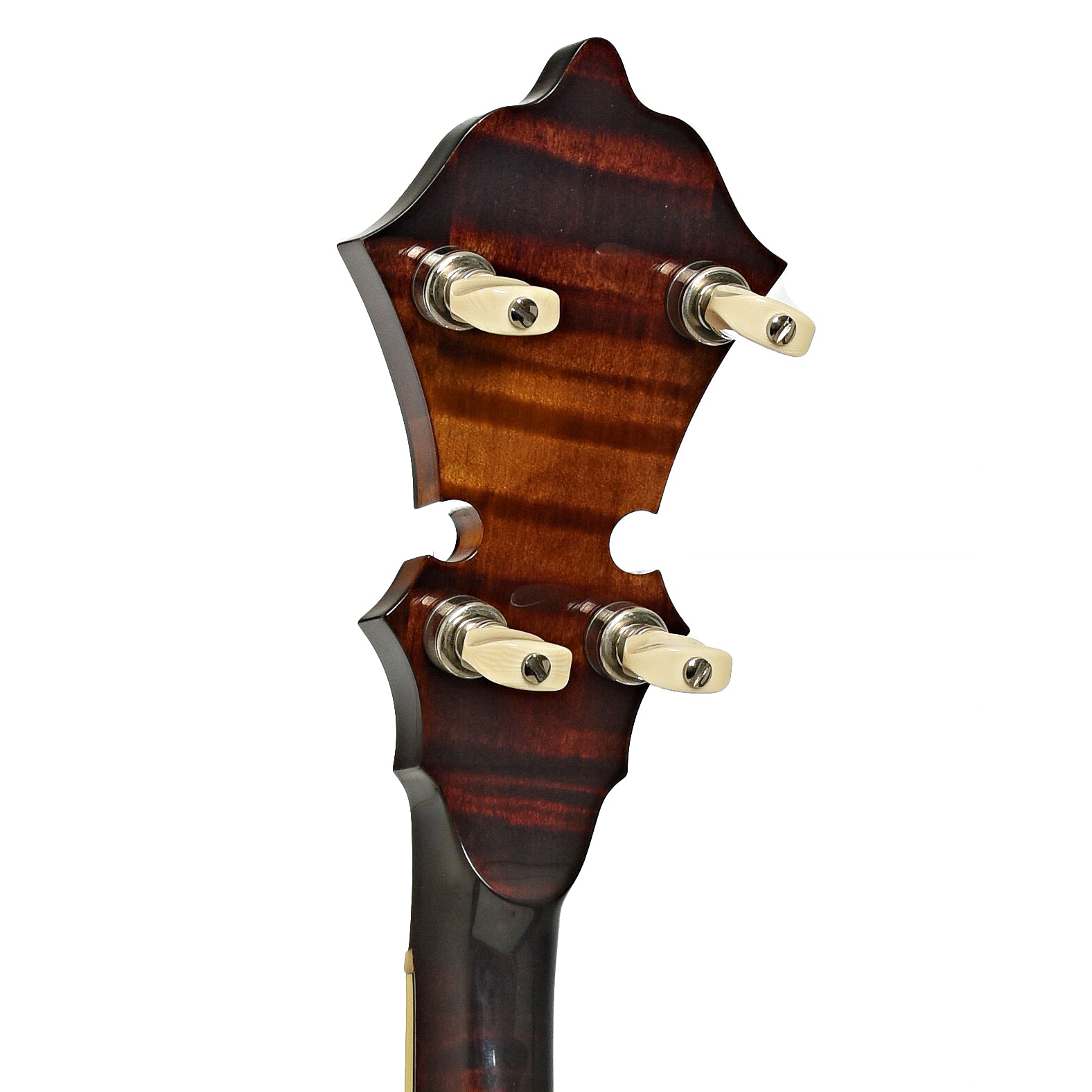 Stelling Sunflower Resonator Banjo (2012)