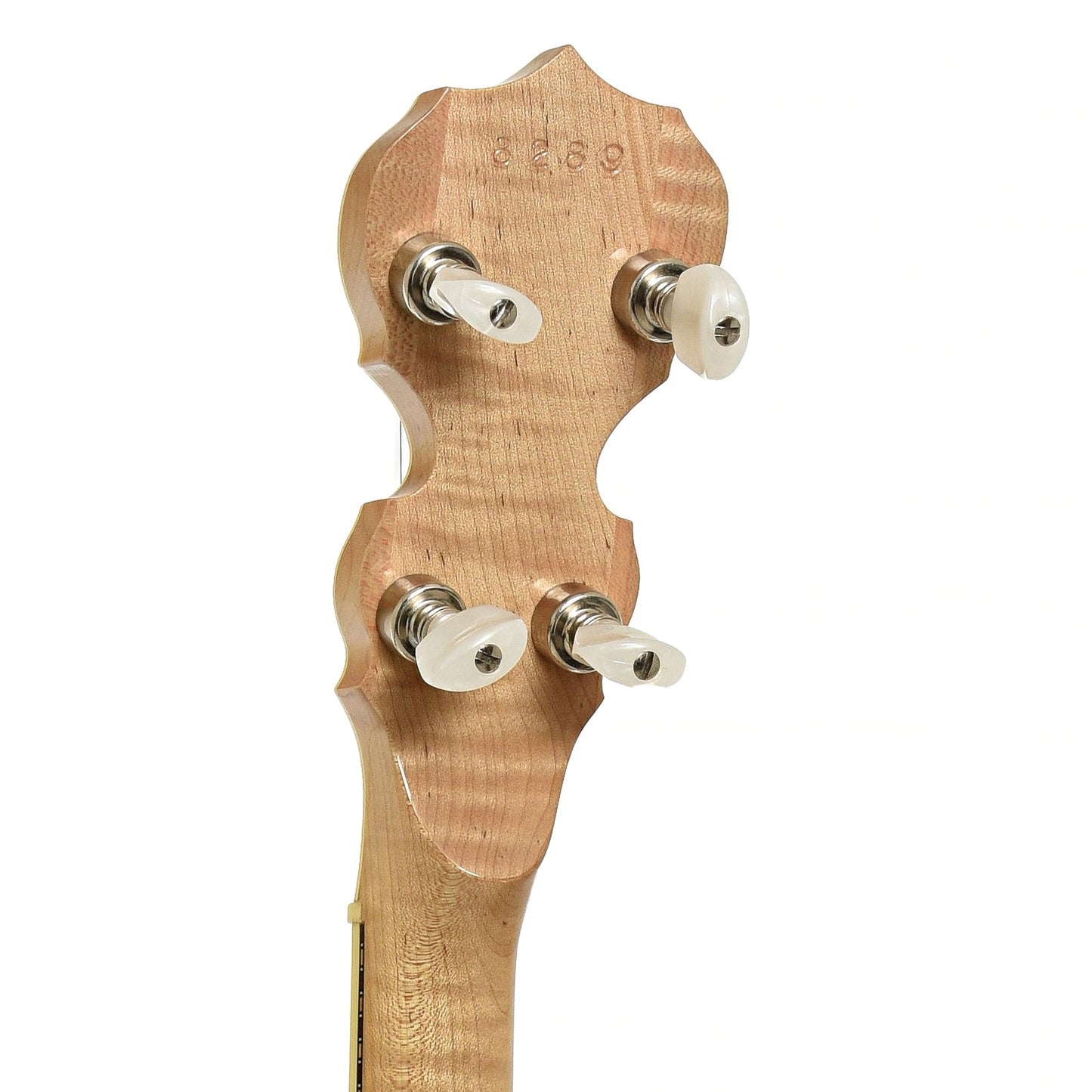Deering Calico Resonator Banjo (1999)