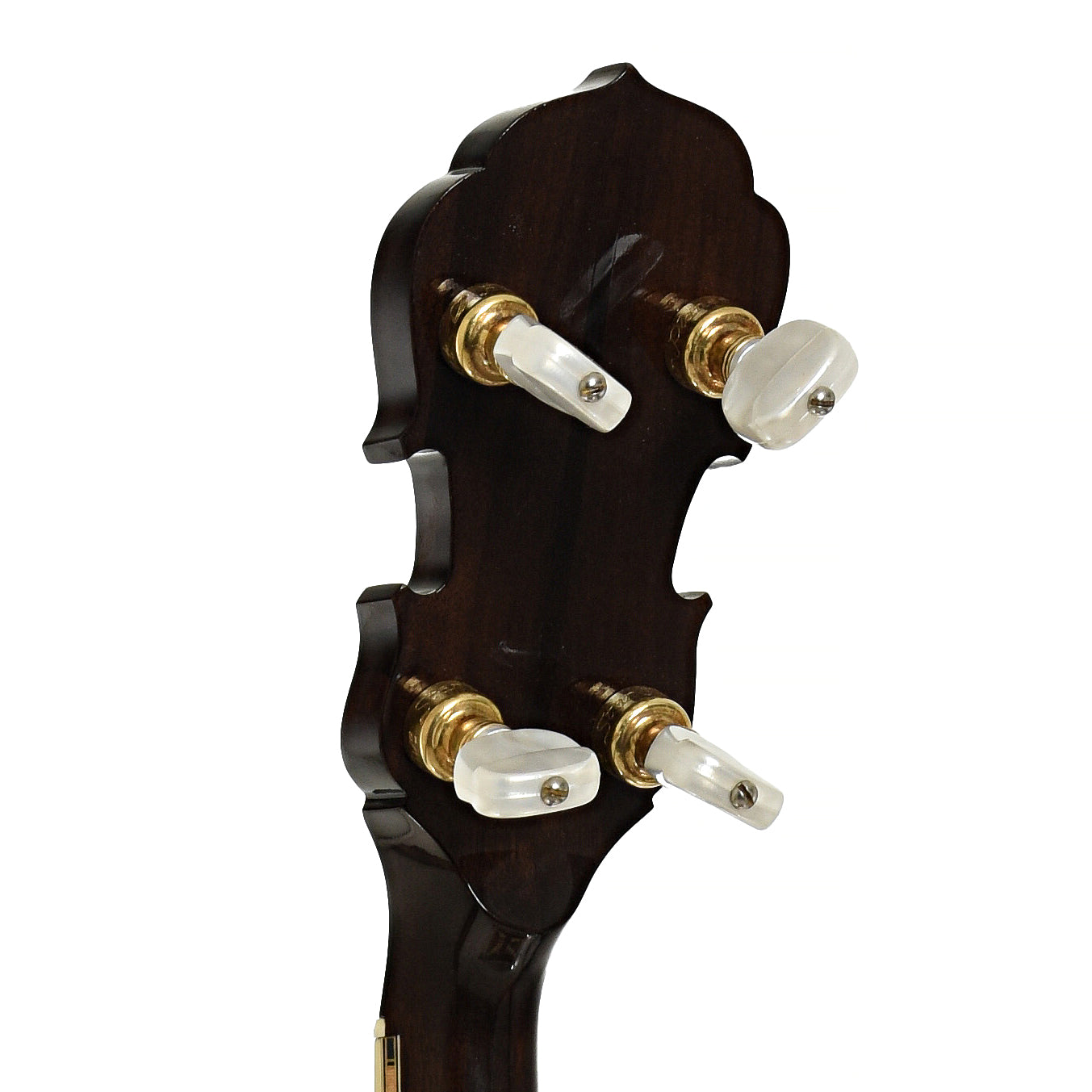 Frank Neat Stanleytone Hills of Home Resonator Banjo (2006)