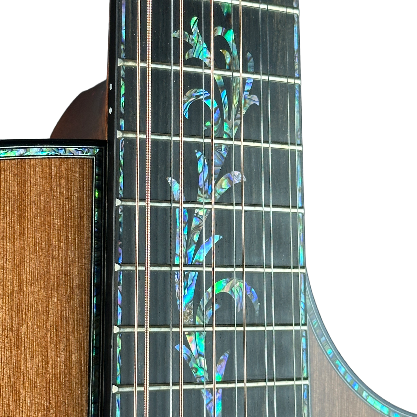 Taylor Presentation Series PS52ce 12-string Acoustic-electric