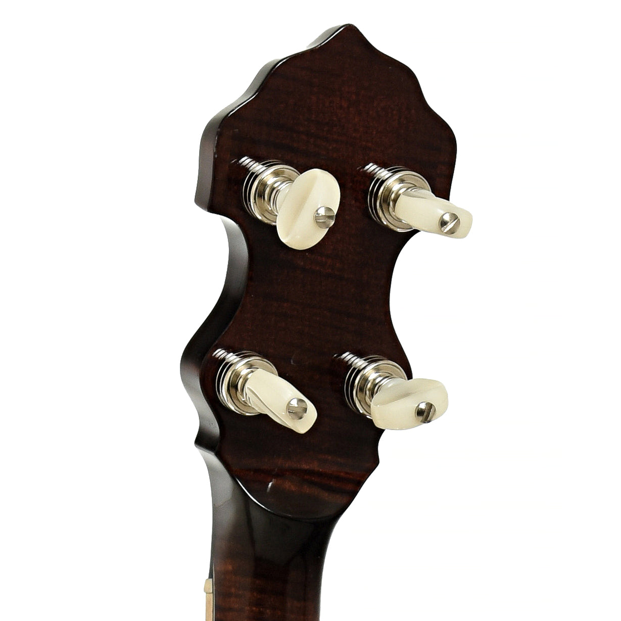 Nechville Orion Resonator Banjo (2021)