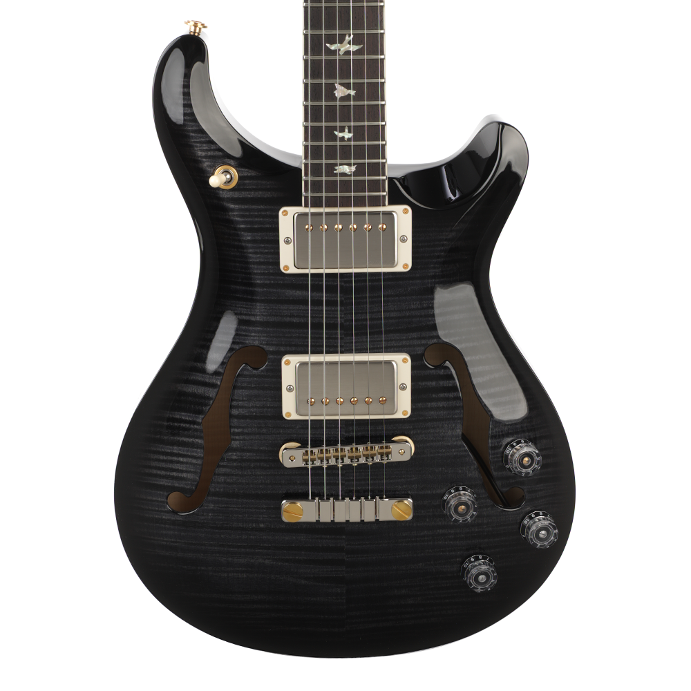 PRS Hollowbody II 10-Top - Purple Iris Smokewrap Burst Custom Color