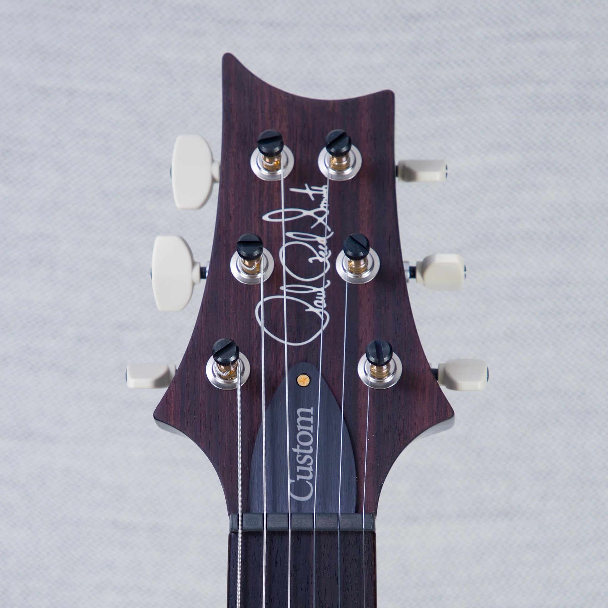 PRS Custom 24 10-Top Electric Guitar - Purple Mist - #240381957 - 2024