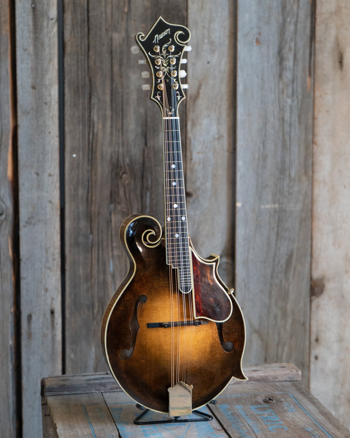 Newson F-5 Fern Mandolin (1982)