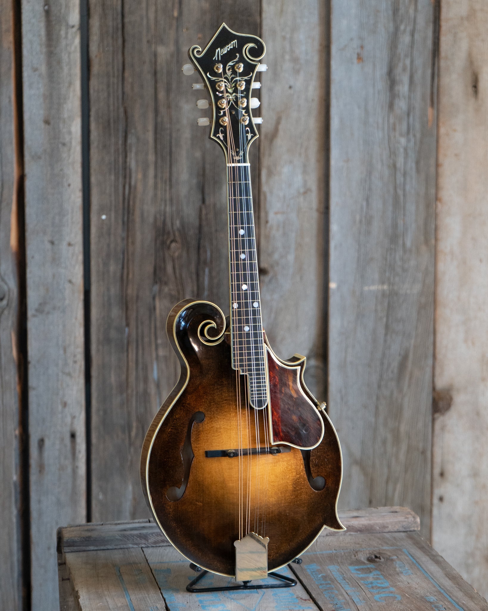 Newson F-5 Fern Mandolin (1982)