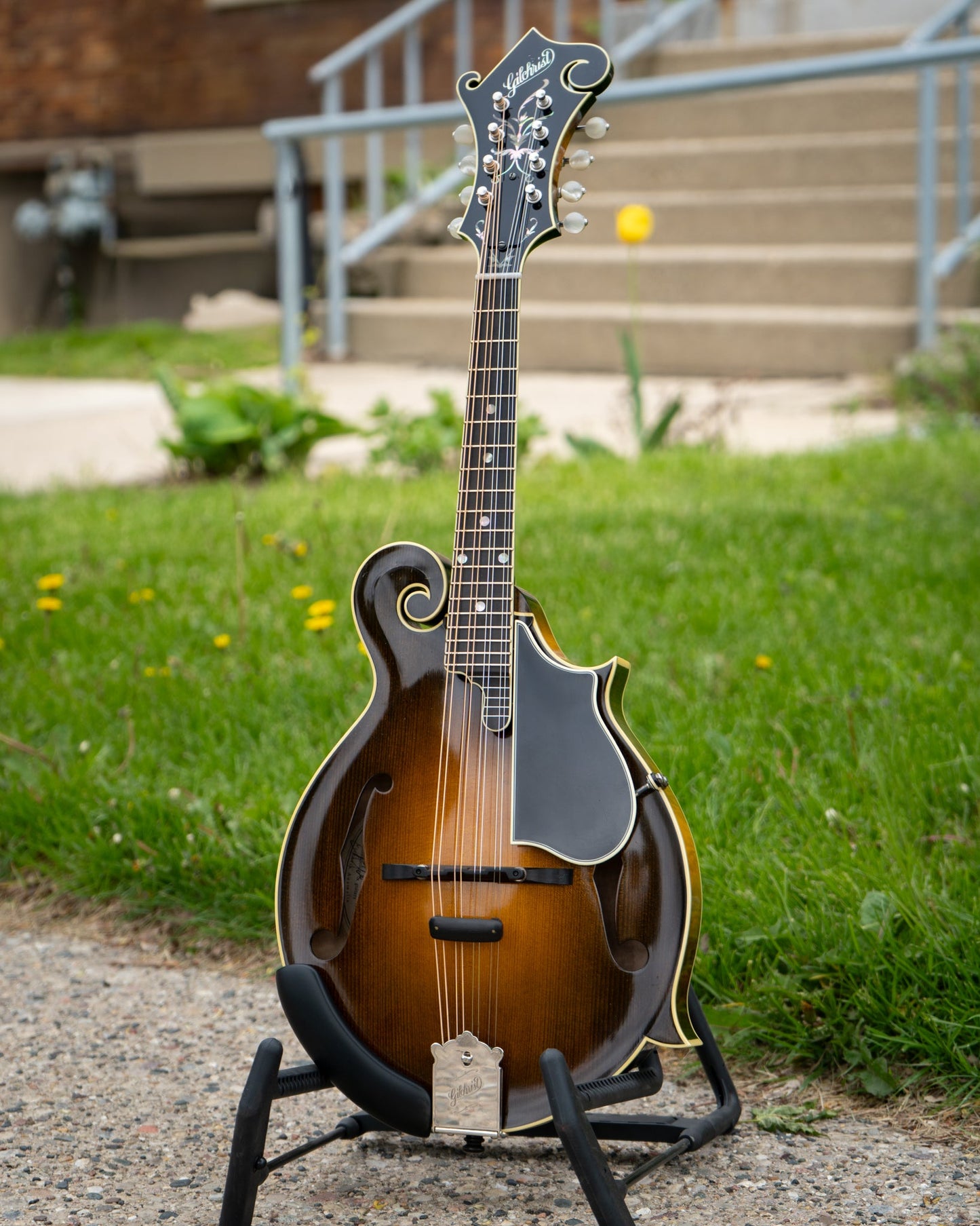 Gilchrist Model 5 Mandolin (2016)