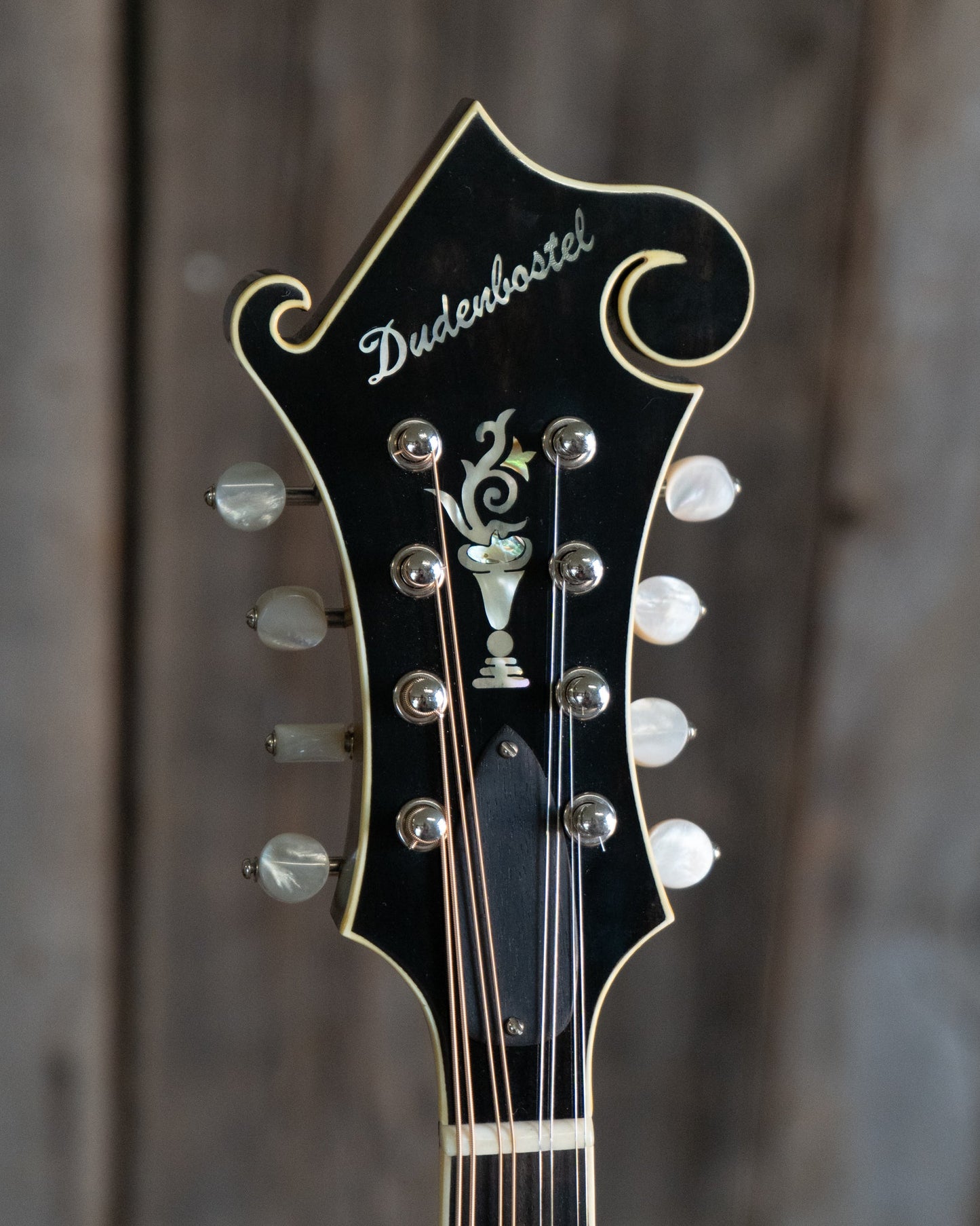 Dudenbostel F-5 Mandolin (2015)