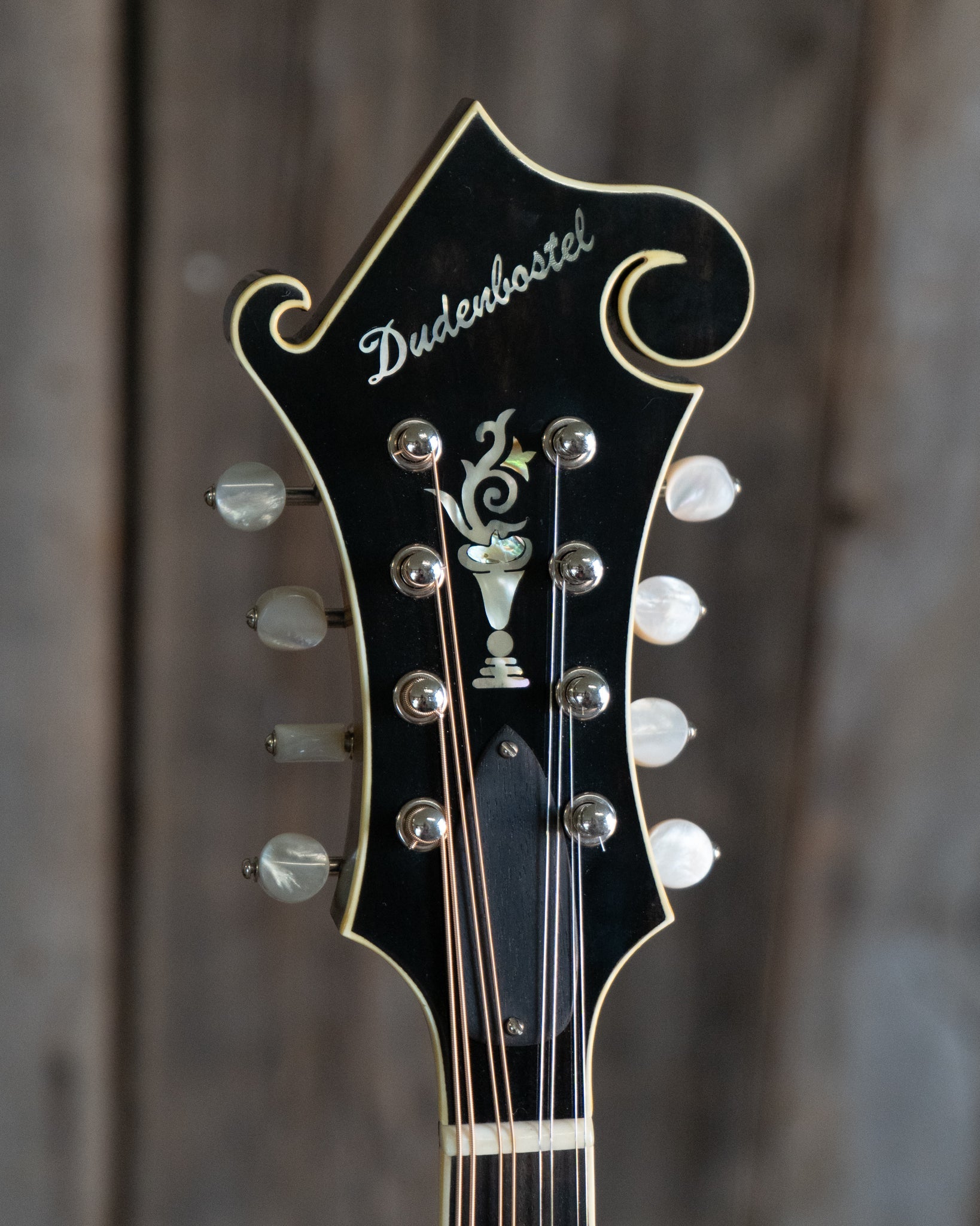 Dudenbostel F-5 Mandolin (2015)