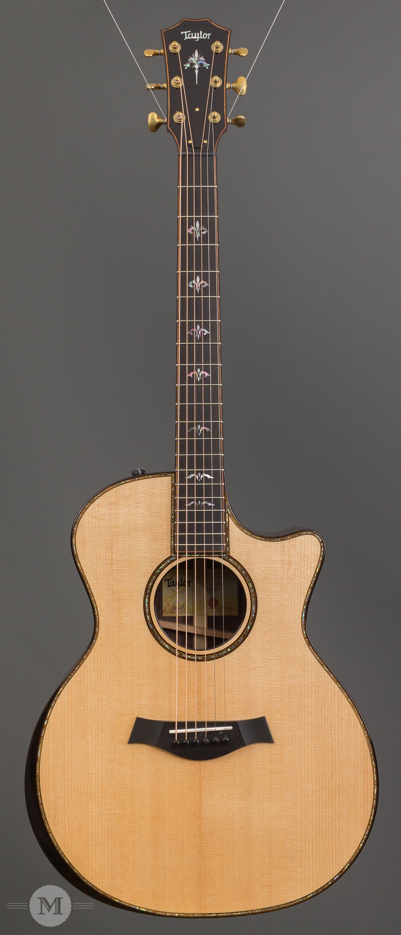 Taylor Acoustic Guitars - 914ce V-Class Bracing