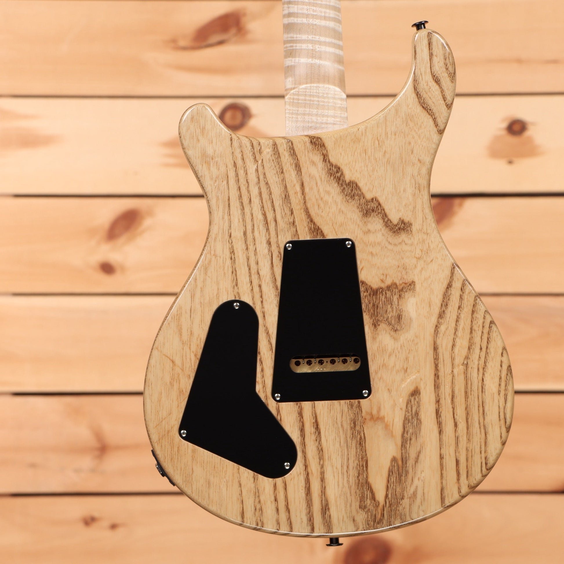 Paul Reed Smith Special 22 Semi-Hollow Wood Library - Trampas Green Fade