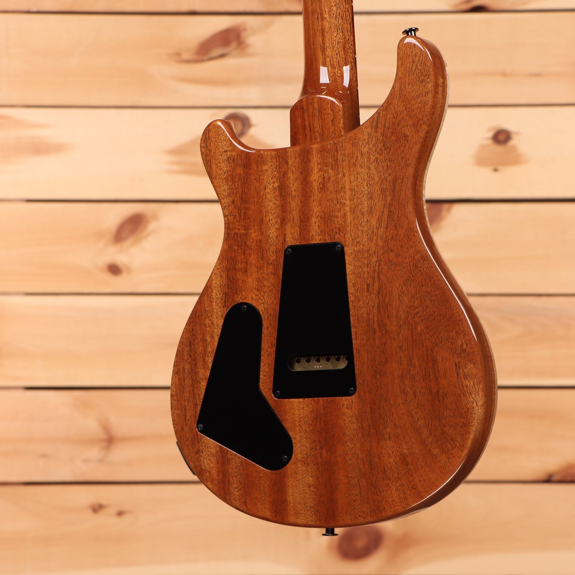 Paul Reed Smith Special Semi-Hollow Wood Library - Trampas Green Fade