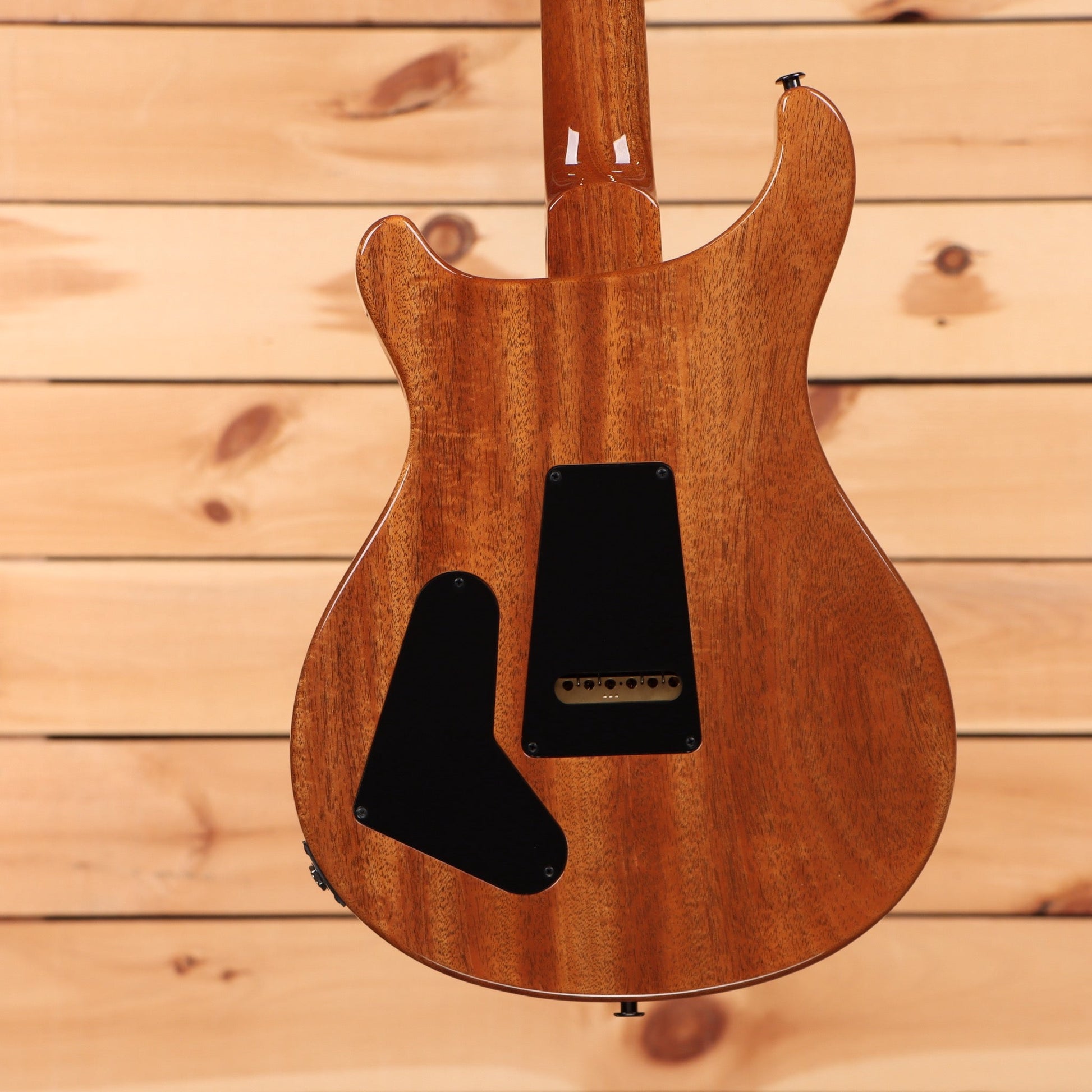 Paul Reed Smith Special Semi-Hollow Wood Library - Trampas Green Fade