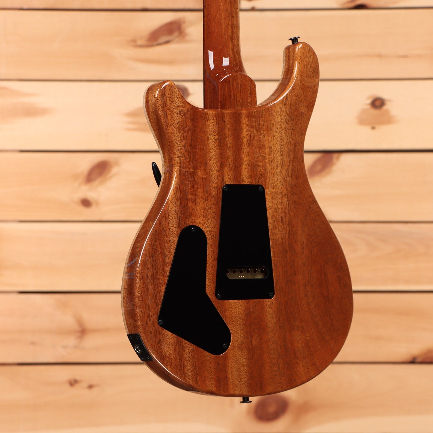 Paul Reed Smith Special Semi-Hollow Wood Library - Trampas Green Fade