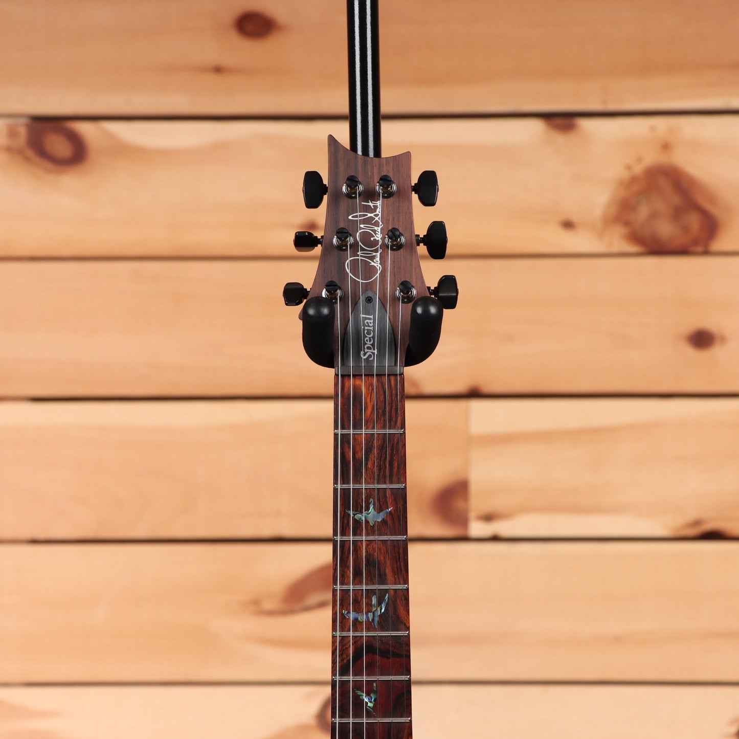 Paul Reed Smith Special Semi-Hollow Wood Library - Trampas Green Fade