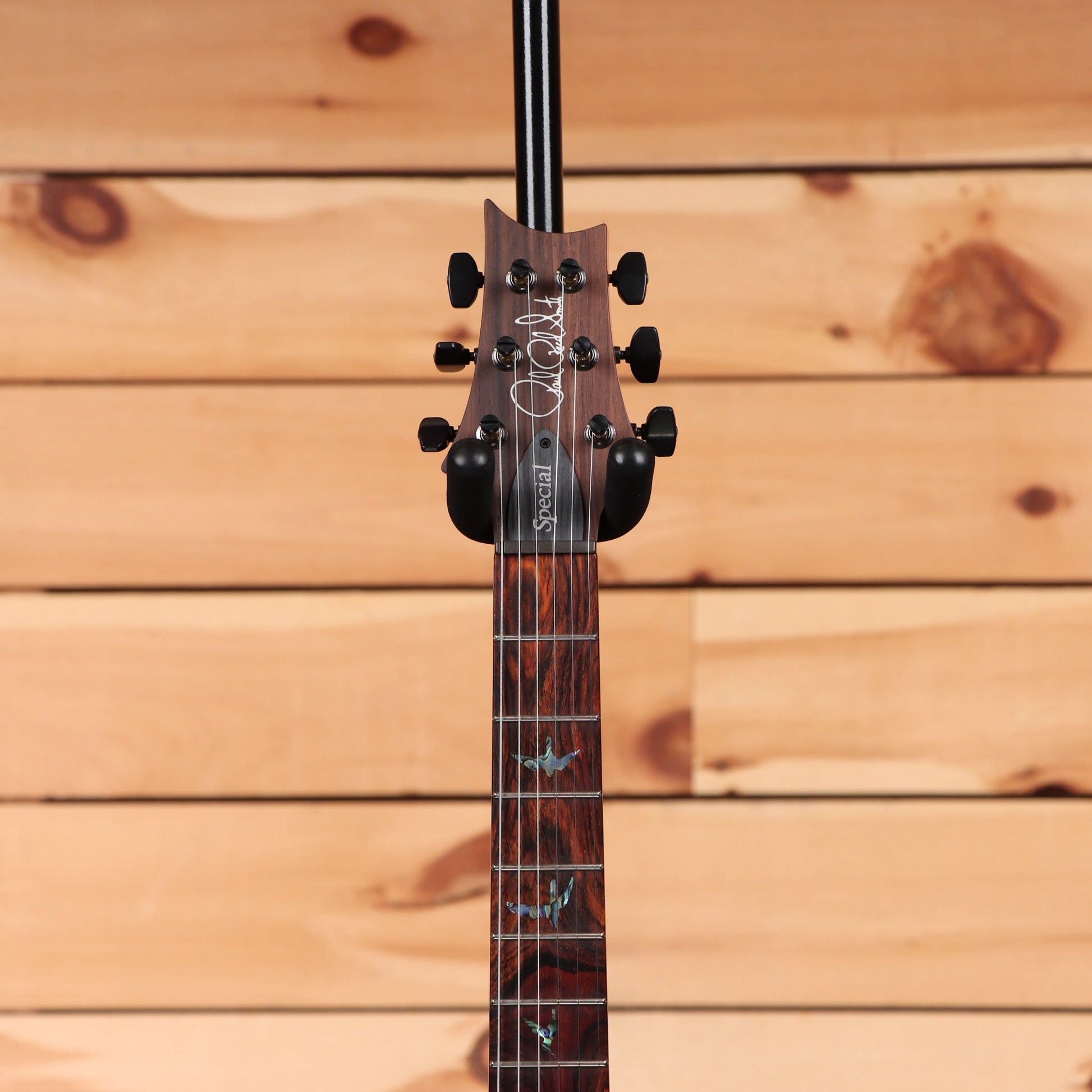 Paul Reed Smith Special Semi-Hollow Wood Library - Trampas Green Fade