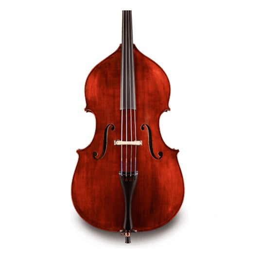 Eastman VB105 3/4 Upright Bass Outfit