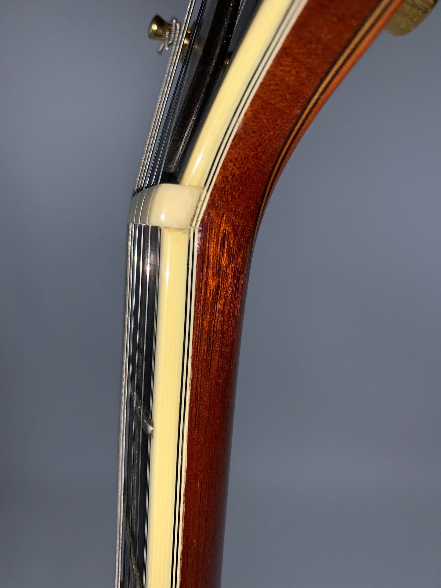 2001 Tom Ribbecke Testadura Goldtop - Masterbuilt w Brazilian Rosewood Center Block & Sides