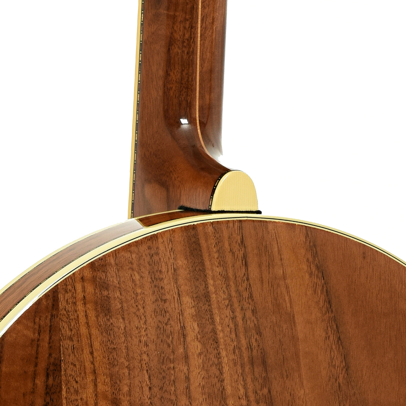 Stelling Golden Cross Walnut Resonator Banjo (1981)