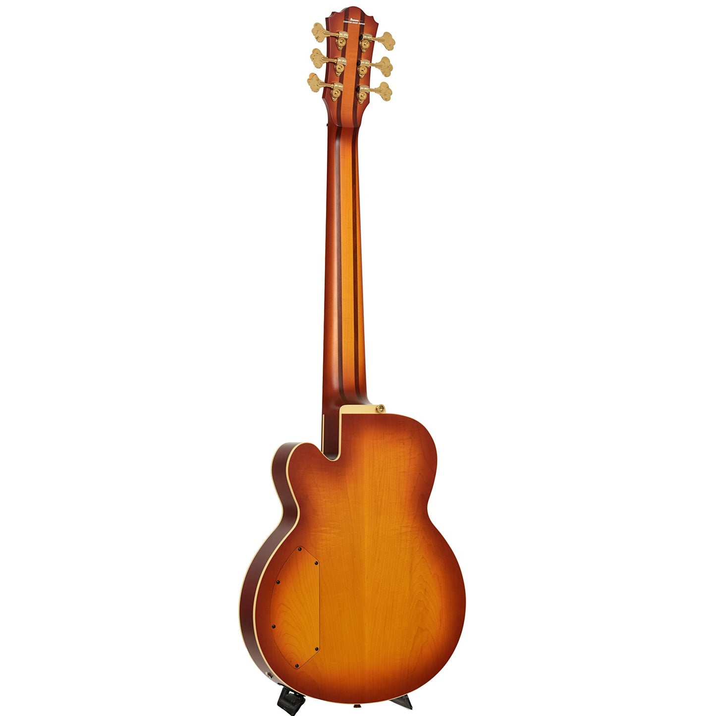 Ibanez TCB1006 Stephen "Thundercat" Bruner 6-String Hollowbody Electric Bass (2022)