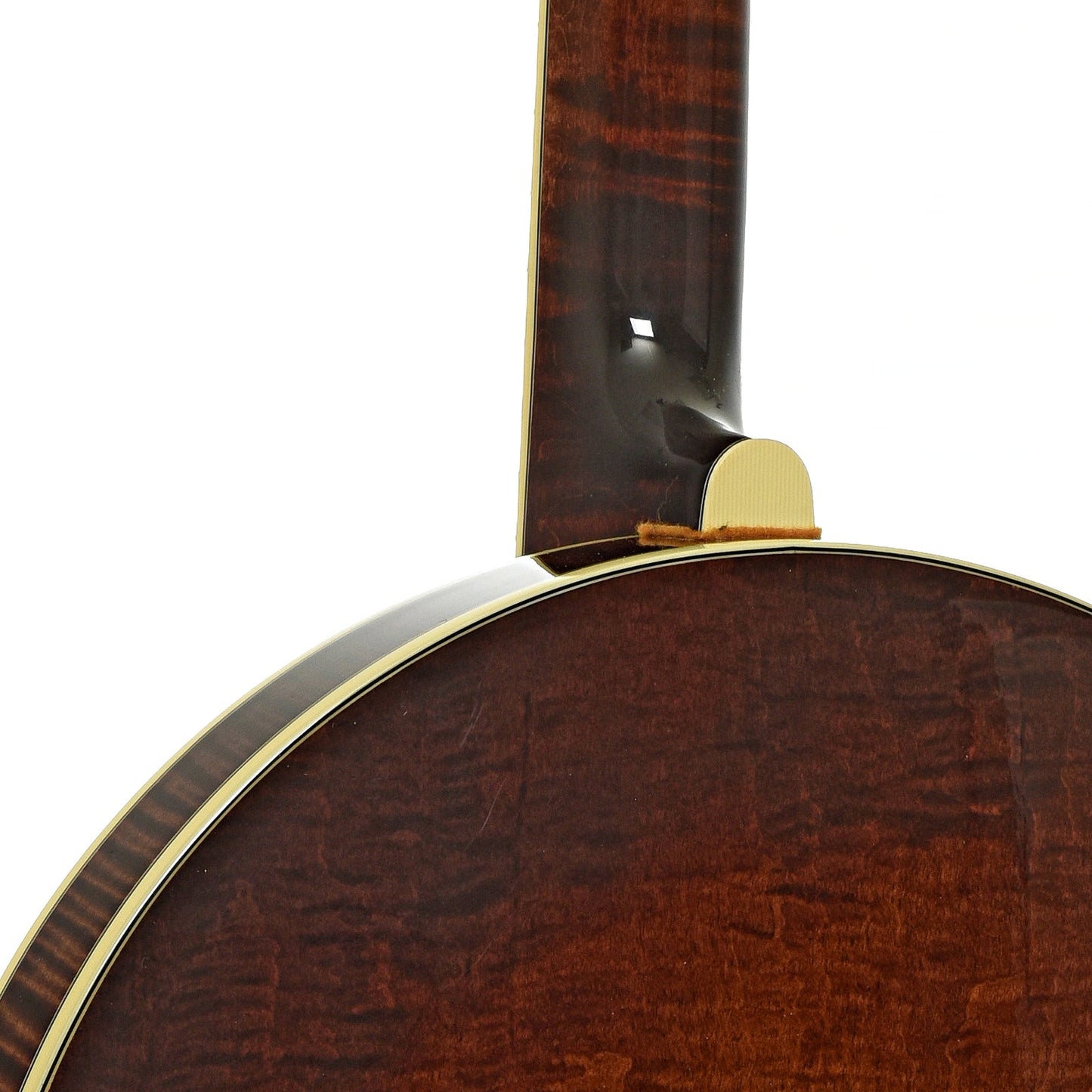 Stelling Sunflower Resonator Banjo (2012)