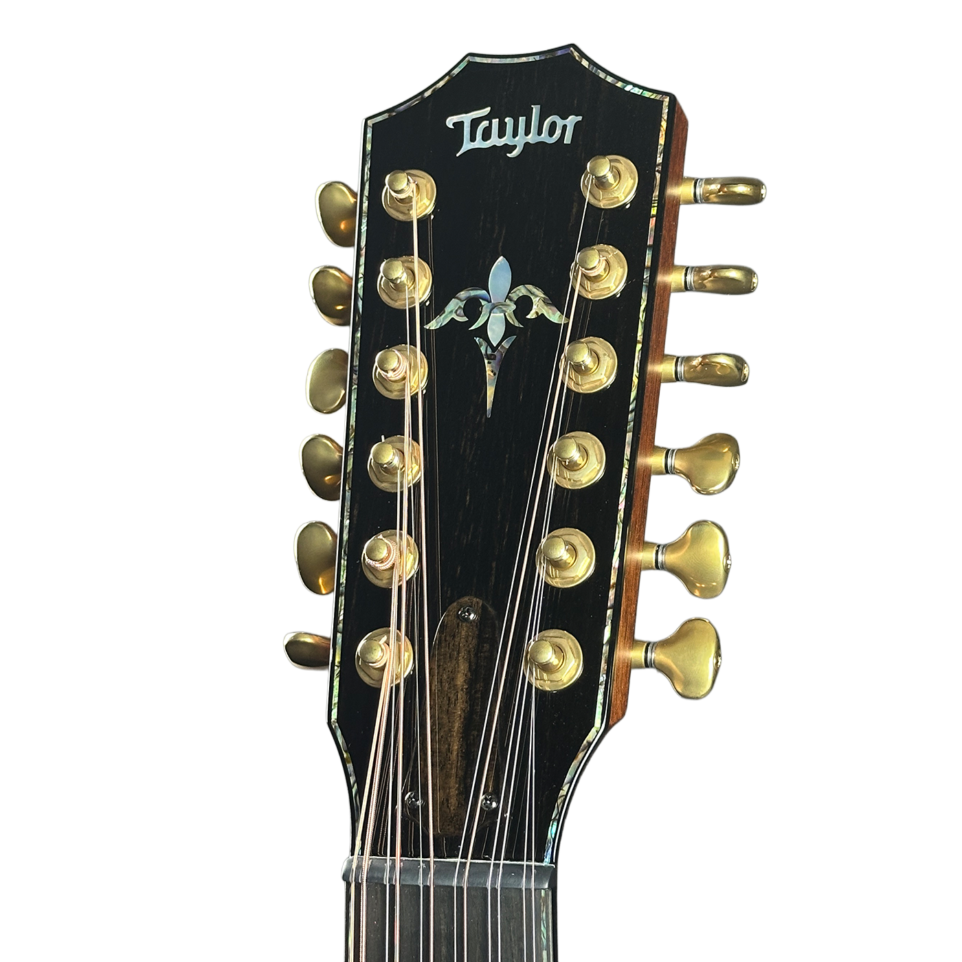 Taylor Presentation Series PS52ce 12-string Acoustic-electric