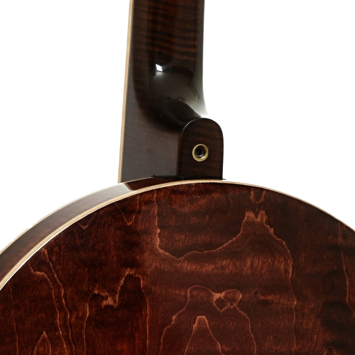 Nechville Orion Resonator Banjo (2021)