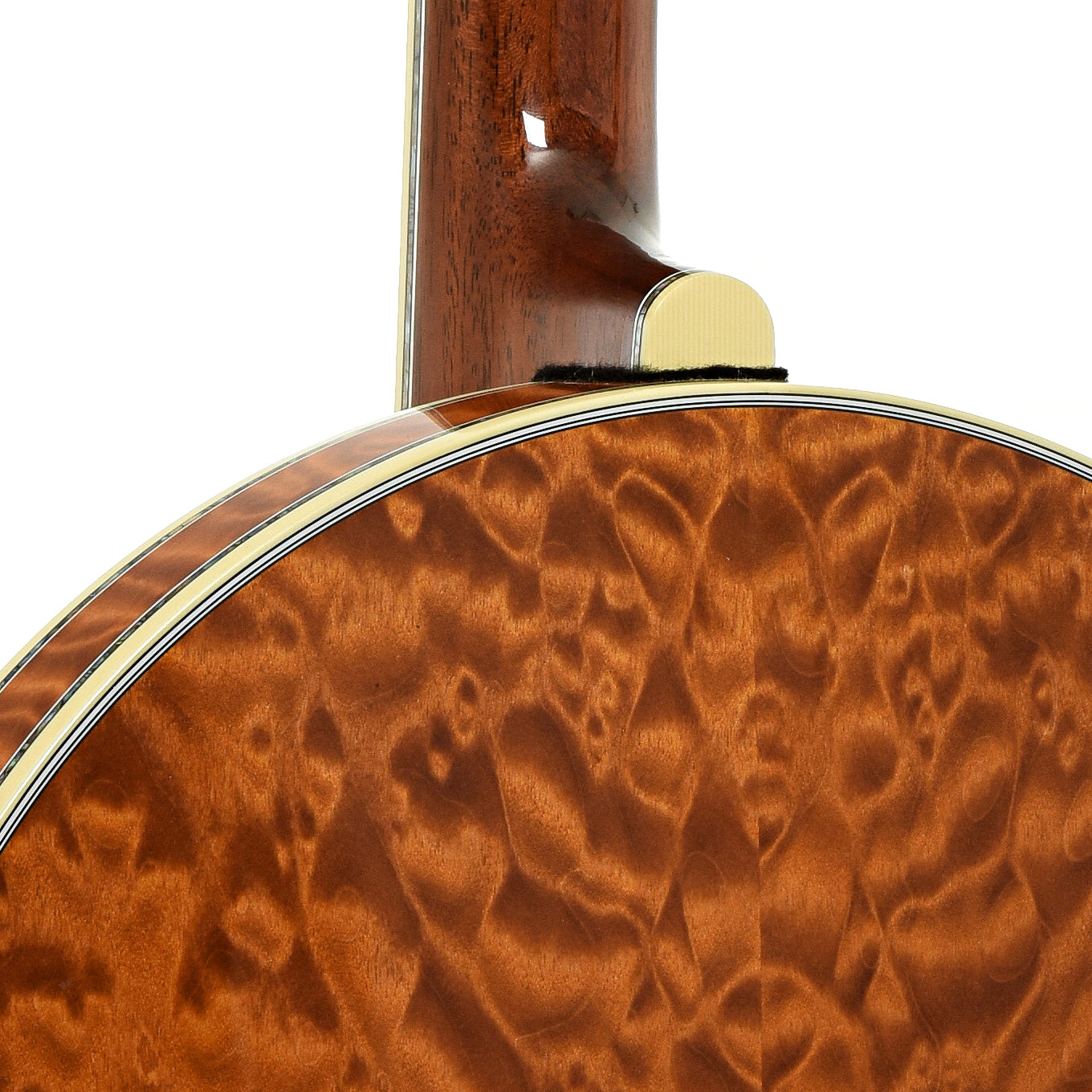 Deering Tony Trischka Golden Clipper Resonator Banjo (2018)