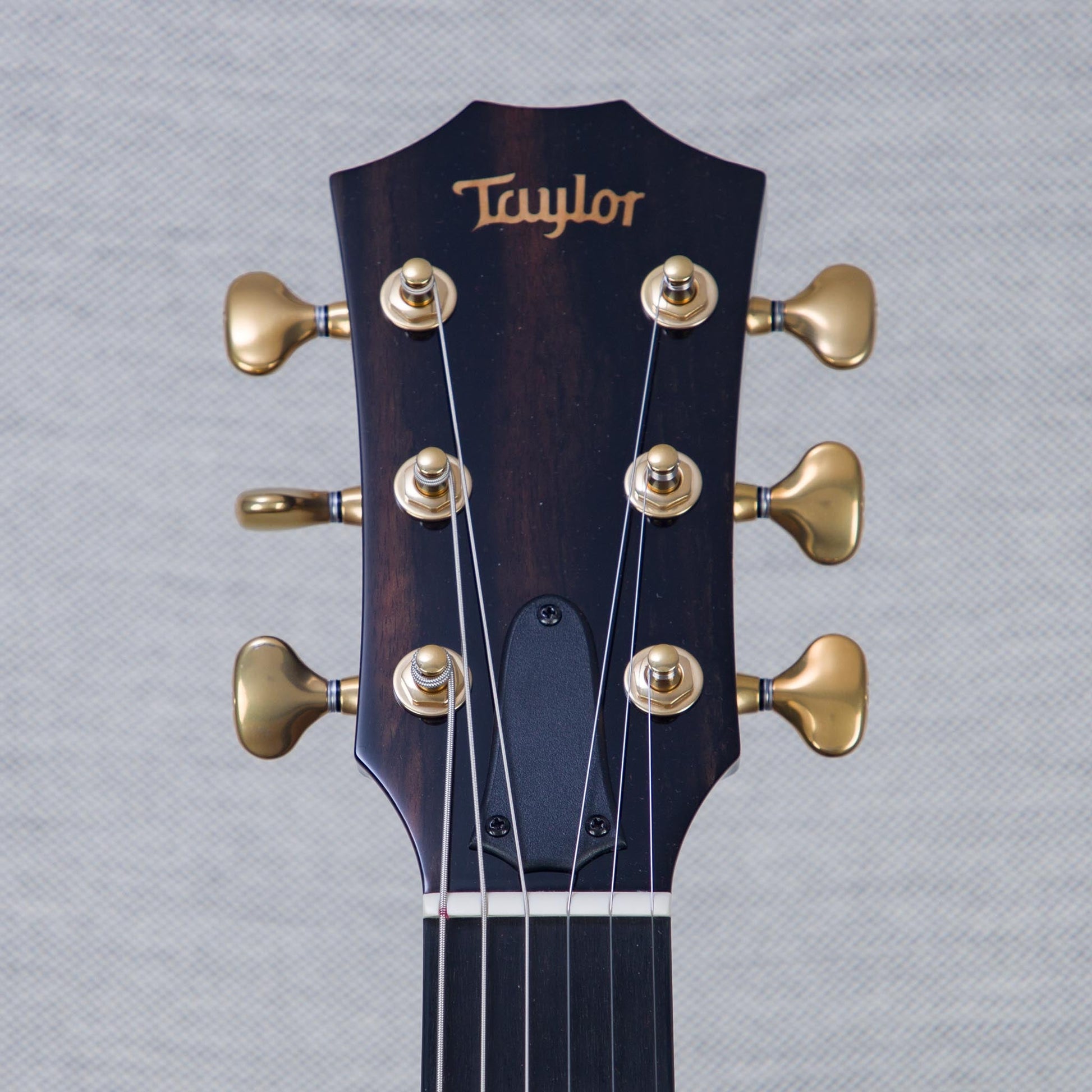 Taylor NAMM 2025 Custom Catch #27 T5z Semi-Hollowbody Acoustic Electric Guitar - #1210024105