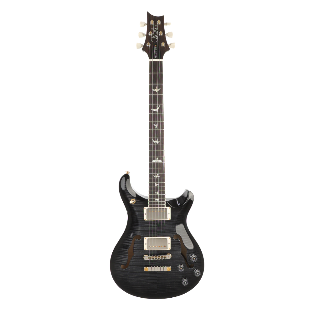 PRS Hollowbody II 10-Top - Purple Iris Smokewrap Burst Custom Color